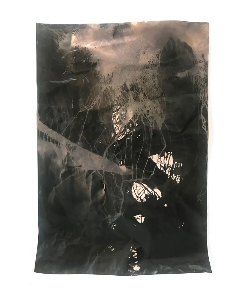 foldtogram (60 x 44, 8-17-18) 2018 photogram, silver gelatin multigrade matte RC 60 x 44 inches unique