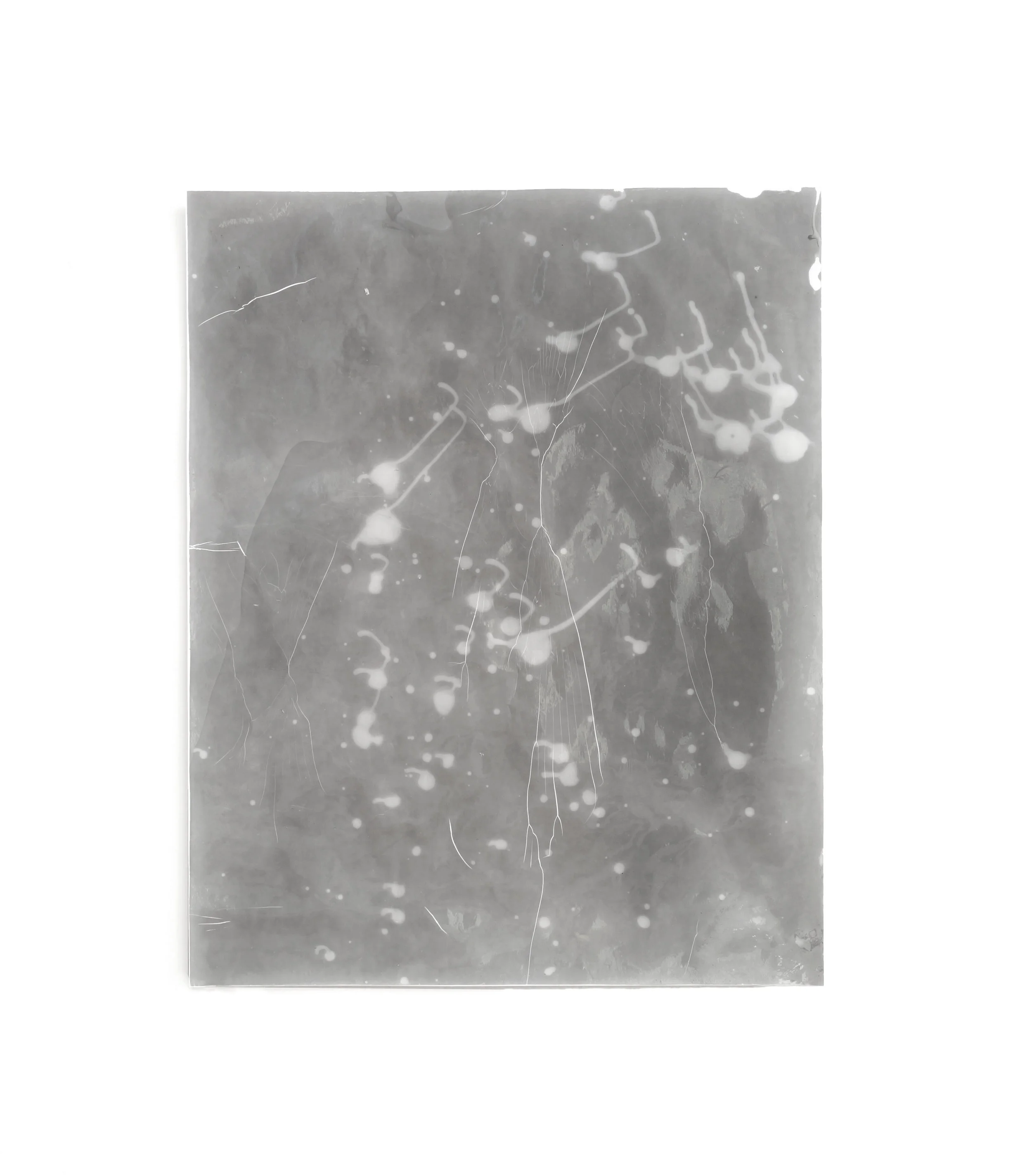 foldtogram (17 rc black 10 x 8) 2017 photogram, silver gelatin multigrade glossy RC paper 10 x 8 x .25 inches unique