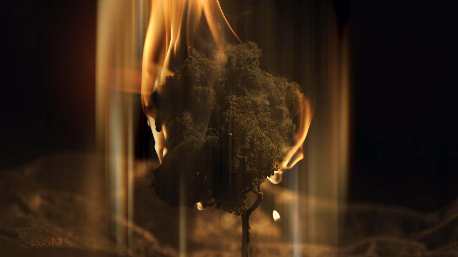 Kalela_Teaser.png