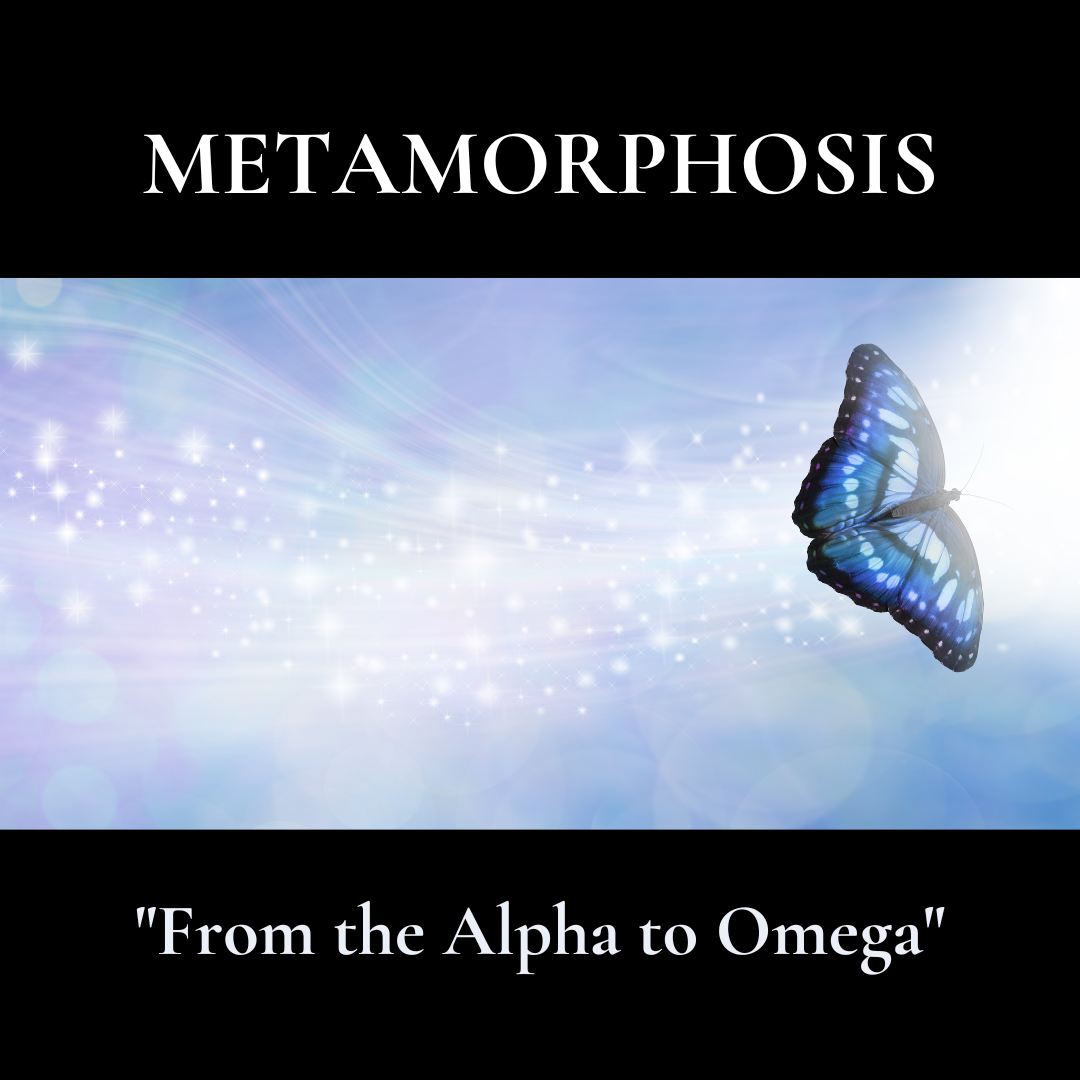 METAMORPHOSIS.png