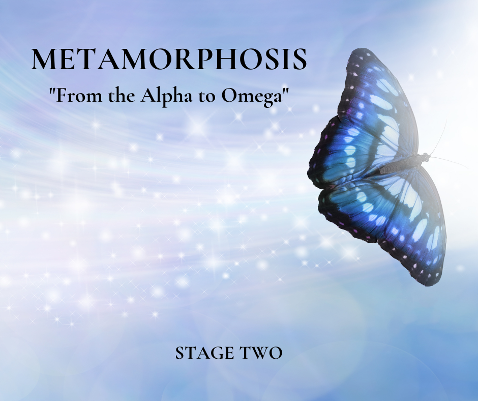 Copy of Copy of METAMORPHOSIS (Facebook Post).png