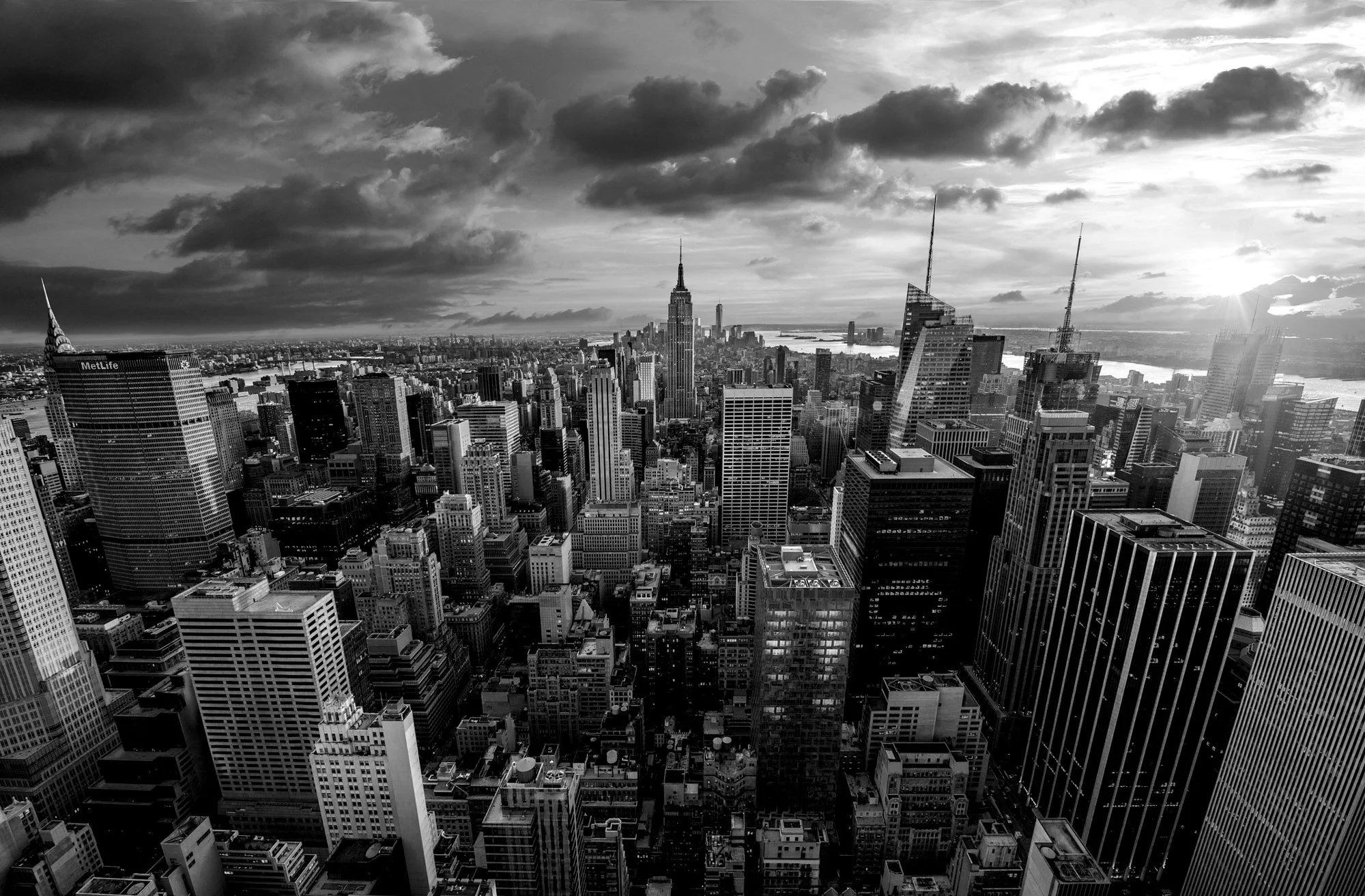 Bright-Urban-Banner-1.jpg