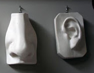 nose-ear.png