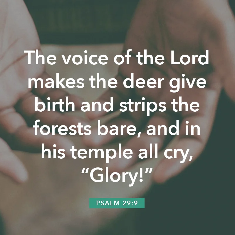 prayer team update - verse .jpg