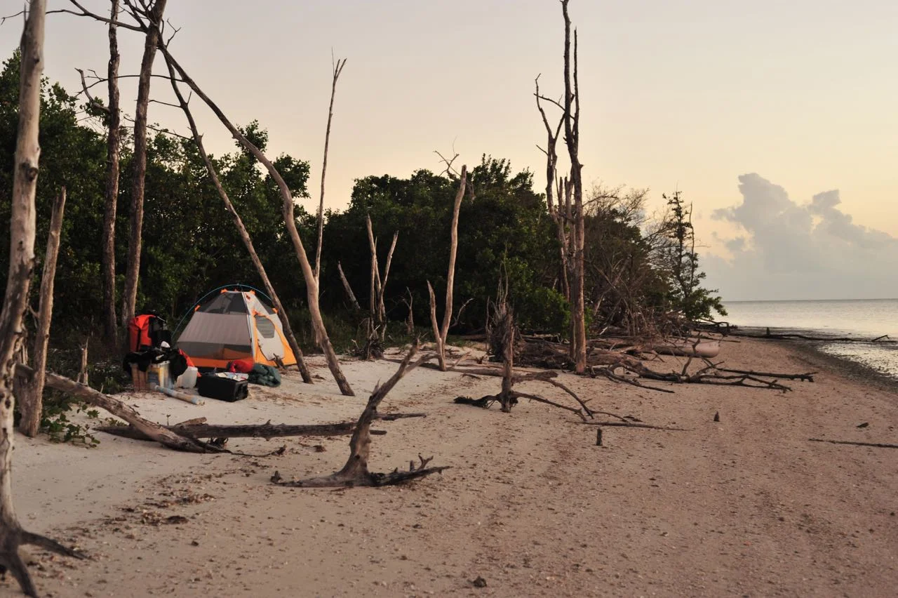 The Gulf coast campsite was a little slice of heaven. Tranquil nature packed and very solitary. View to the south.