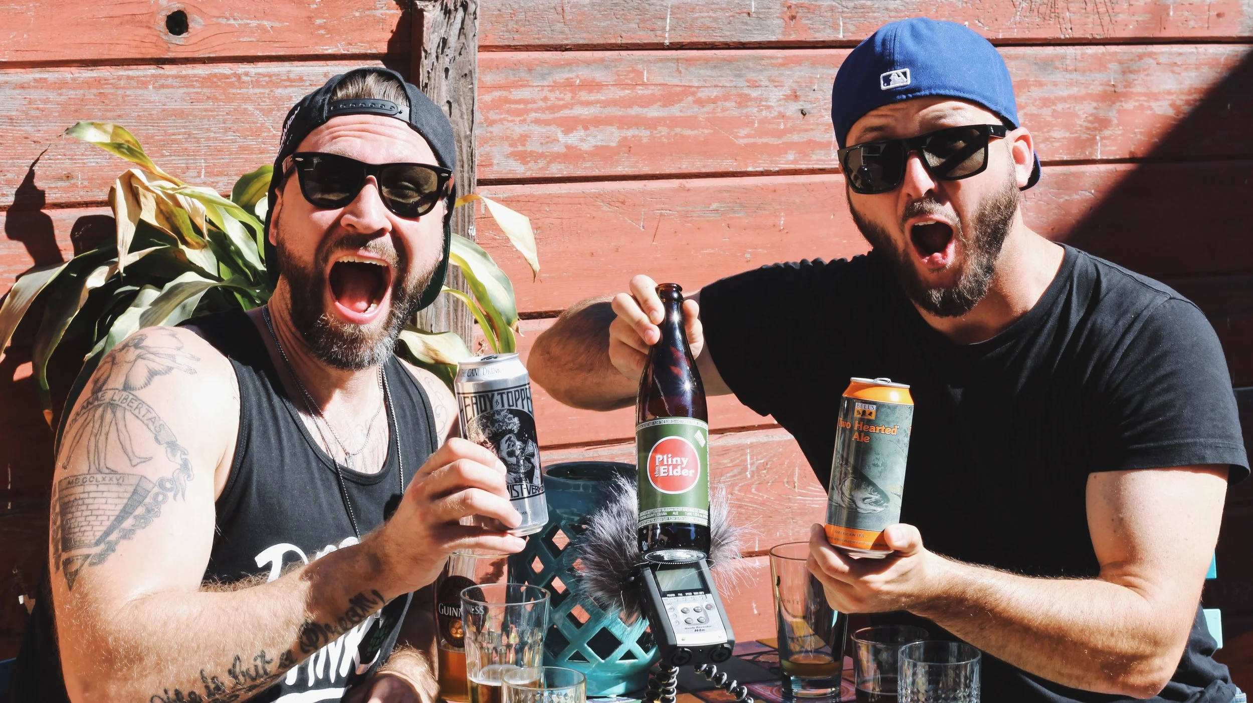 Our Fave Versus Videos... With Whales