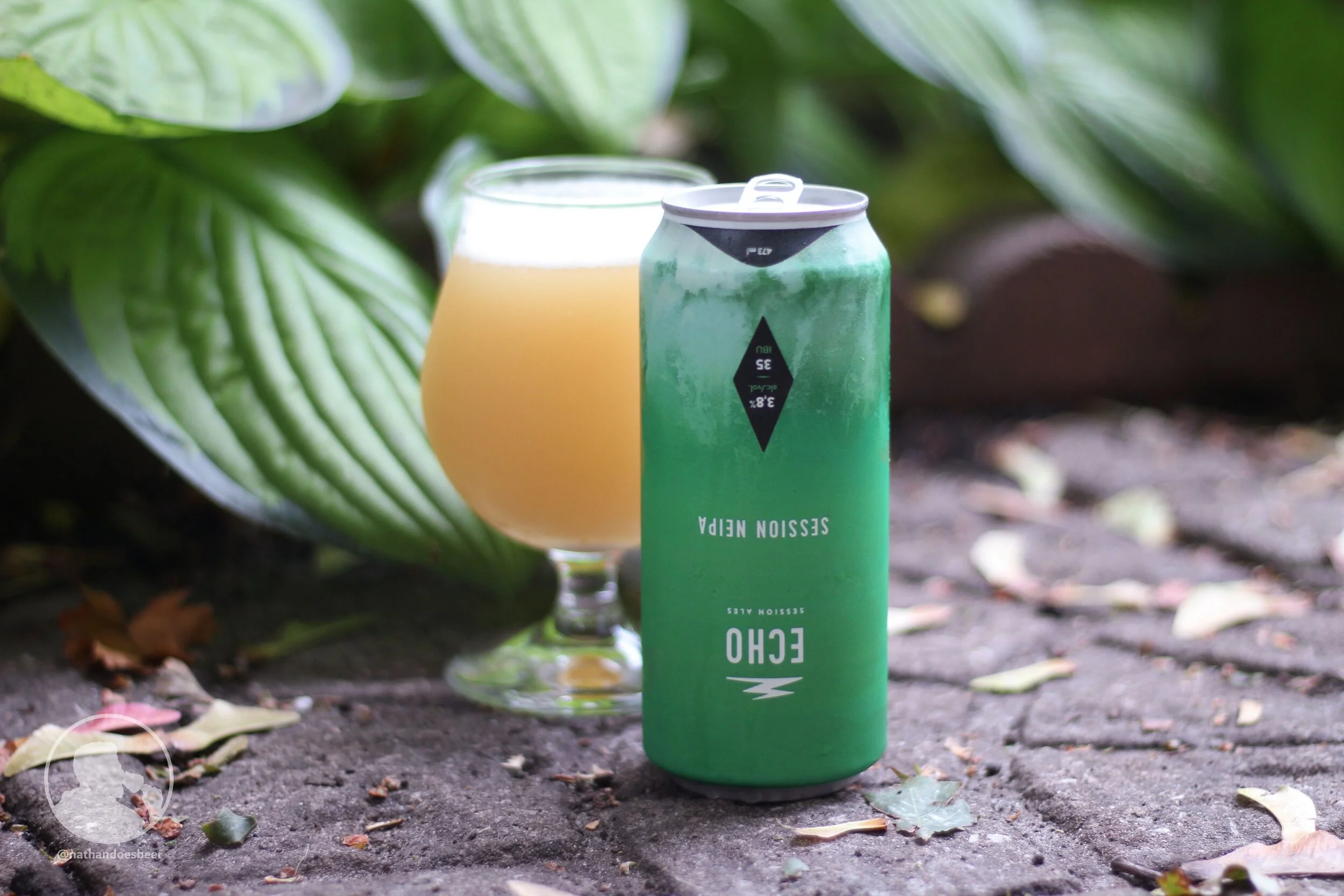 Low ABV Upside Down Haze - Echo Session Ales