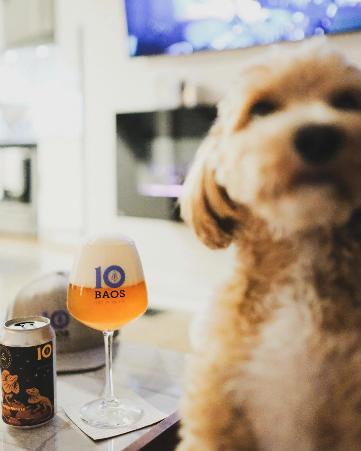 🍻 BAOS 10th ANNIVERSARY BREW #28 🍻

The first beer off the system at the new location for Kitchener&rsquo;s @counterpointbrewingco was our 10th anniversary Xtra Pale Ale collab with terpenes. 💨

The legend @childishgraembino helped us cook up a gl