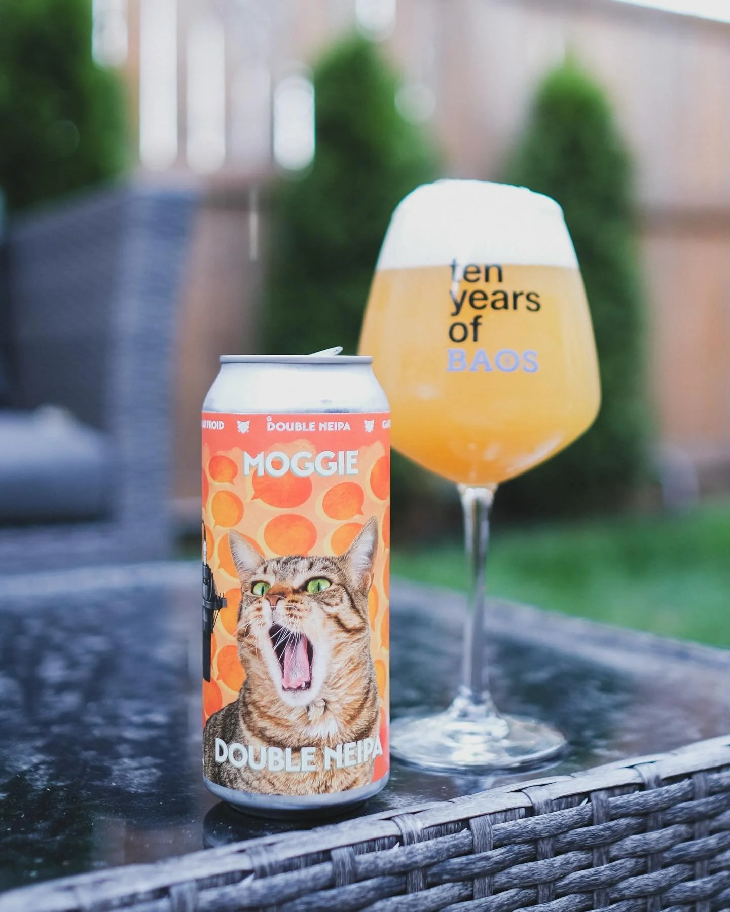 🍻 BAOS 10th ANNIVERSARY BREW #31 🍻

Quebec City has a phenomenal craft beer scene, so we had to connect with legends in the city @noctem_artisans_brasseurs for a 10th anniversary collab. 😻

Noctem are haze masters, so we ran with a big, fluffy Dou