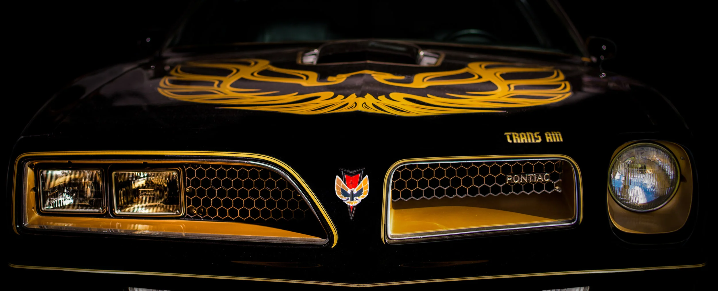 DSC_9083-edit2.jpg