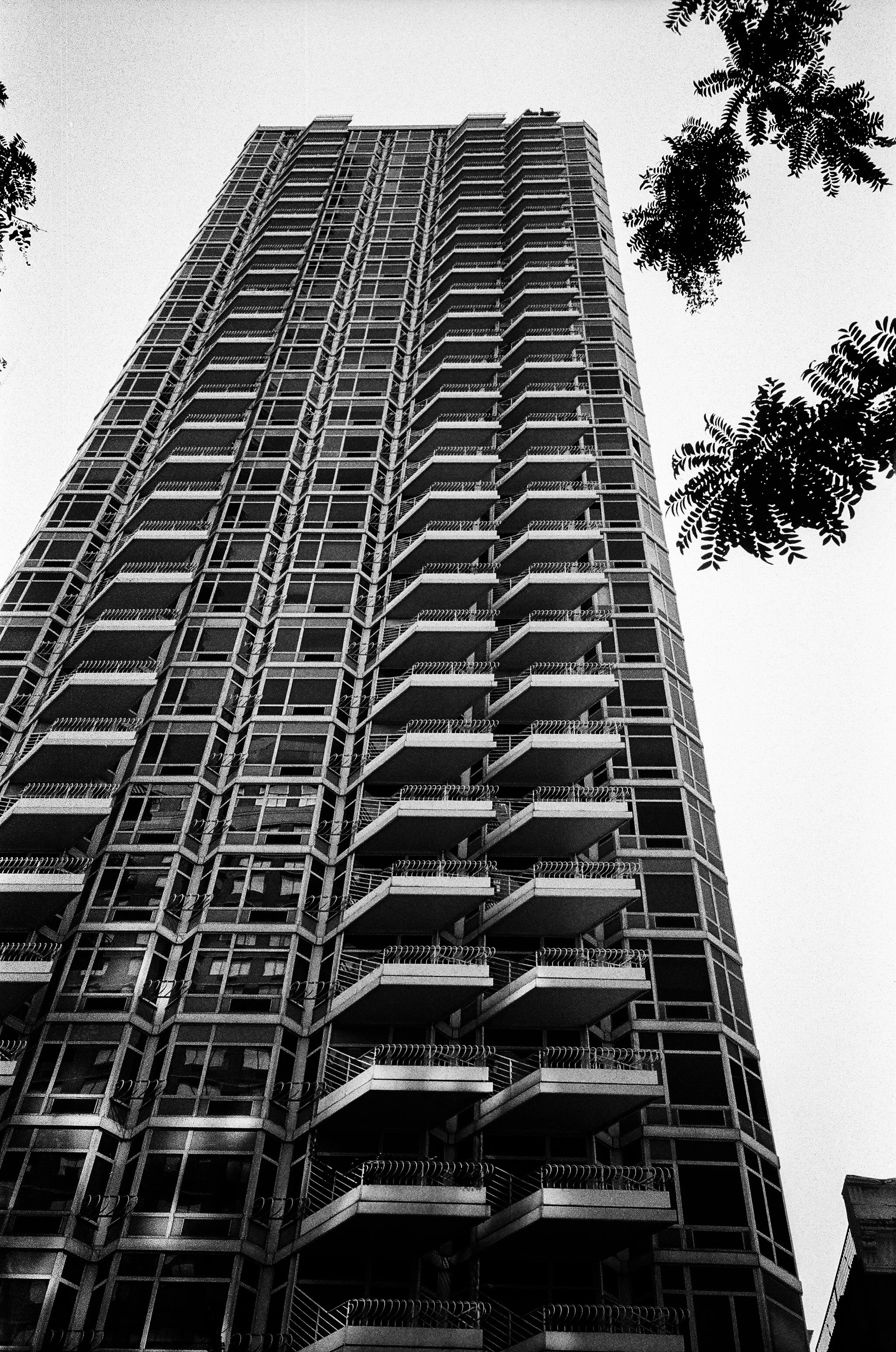 25560007.jpg