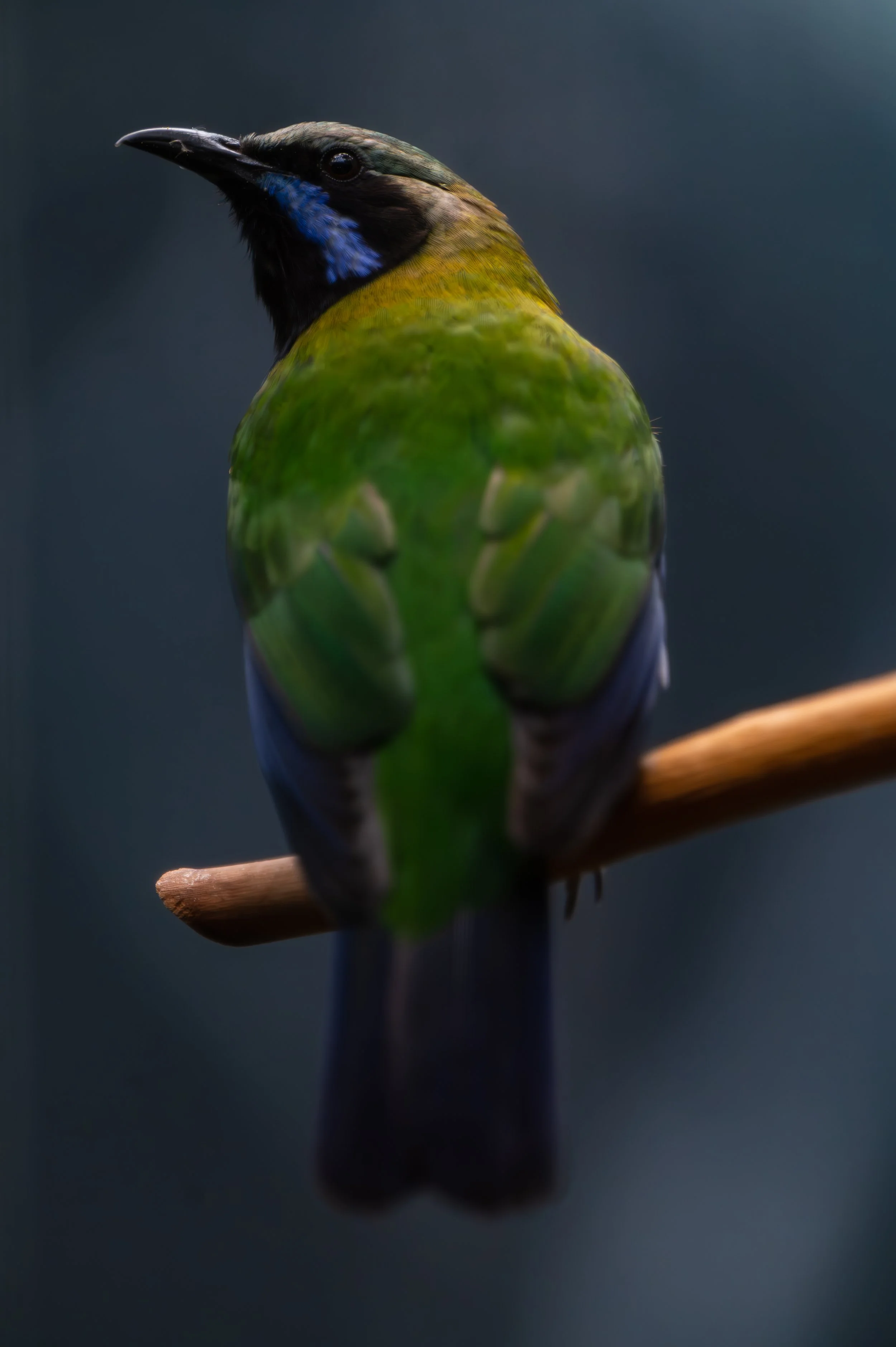 DSC_3112-Enhanced-NR.jpg