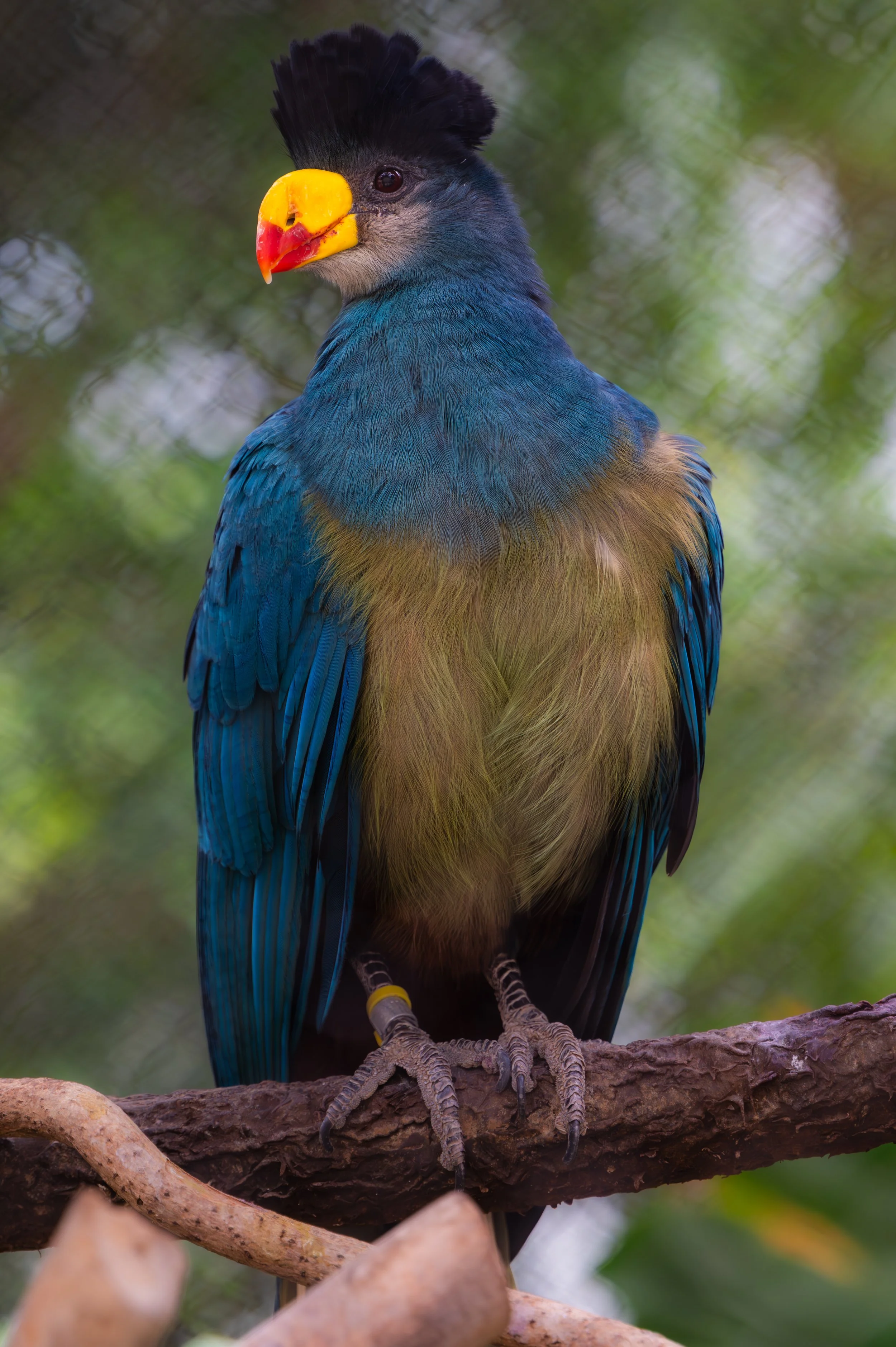 DSC_3321-Enhanced-NR.jpg