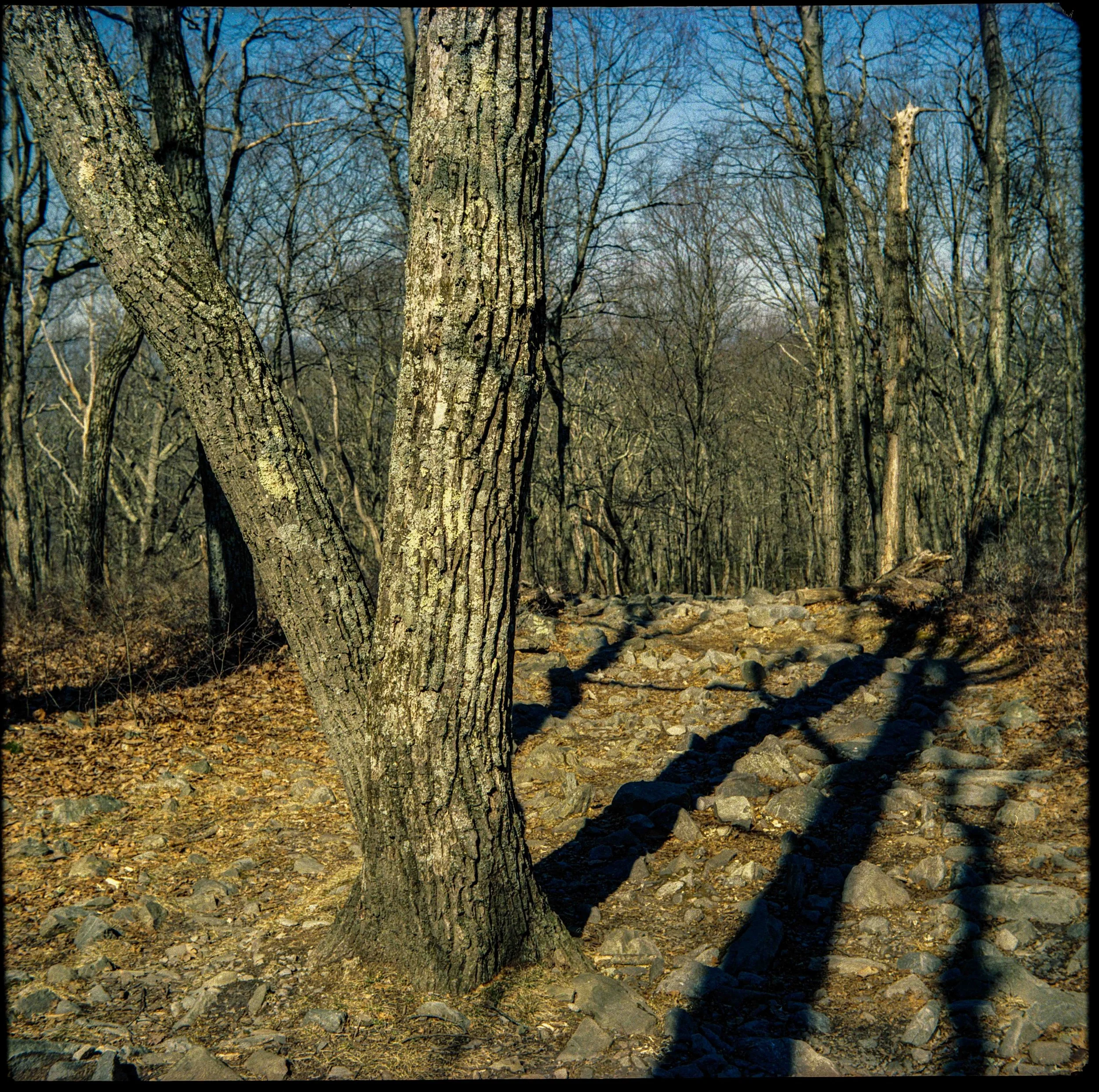 Portra800_2728004.jpg