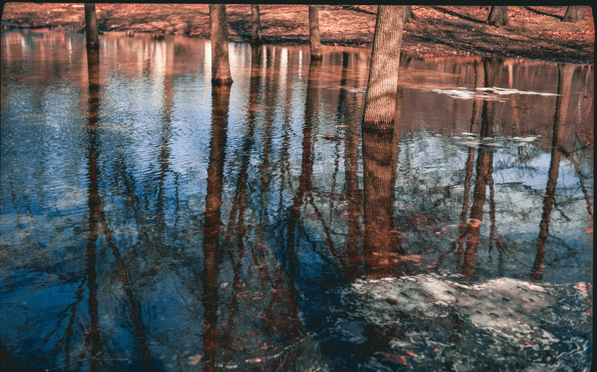 Portra800_2730008.jpg