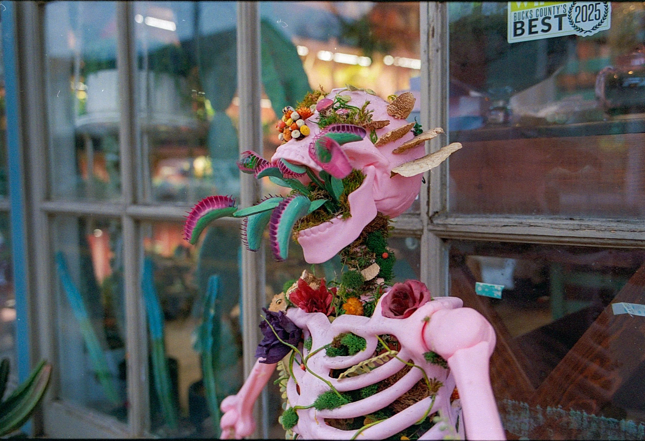 LeicaM6_Portra800_6061_18.jpg