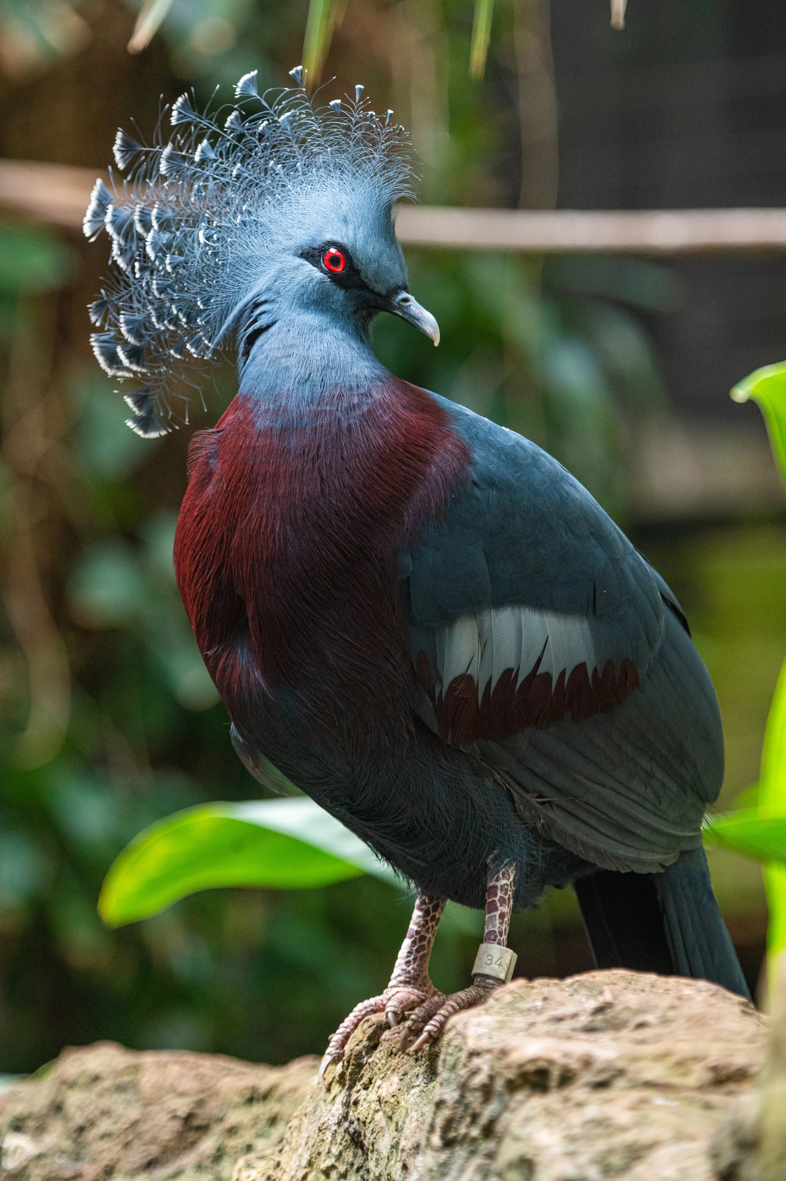 DSC_4062.jpg