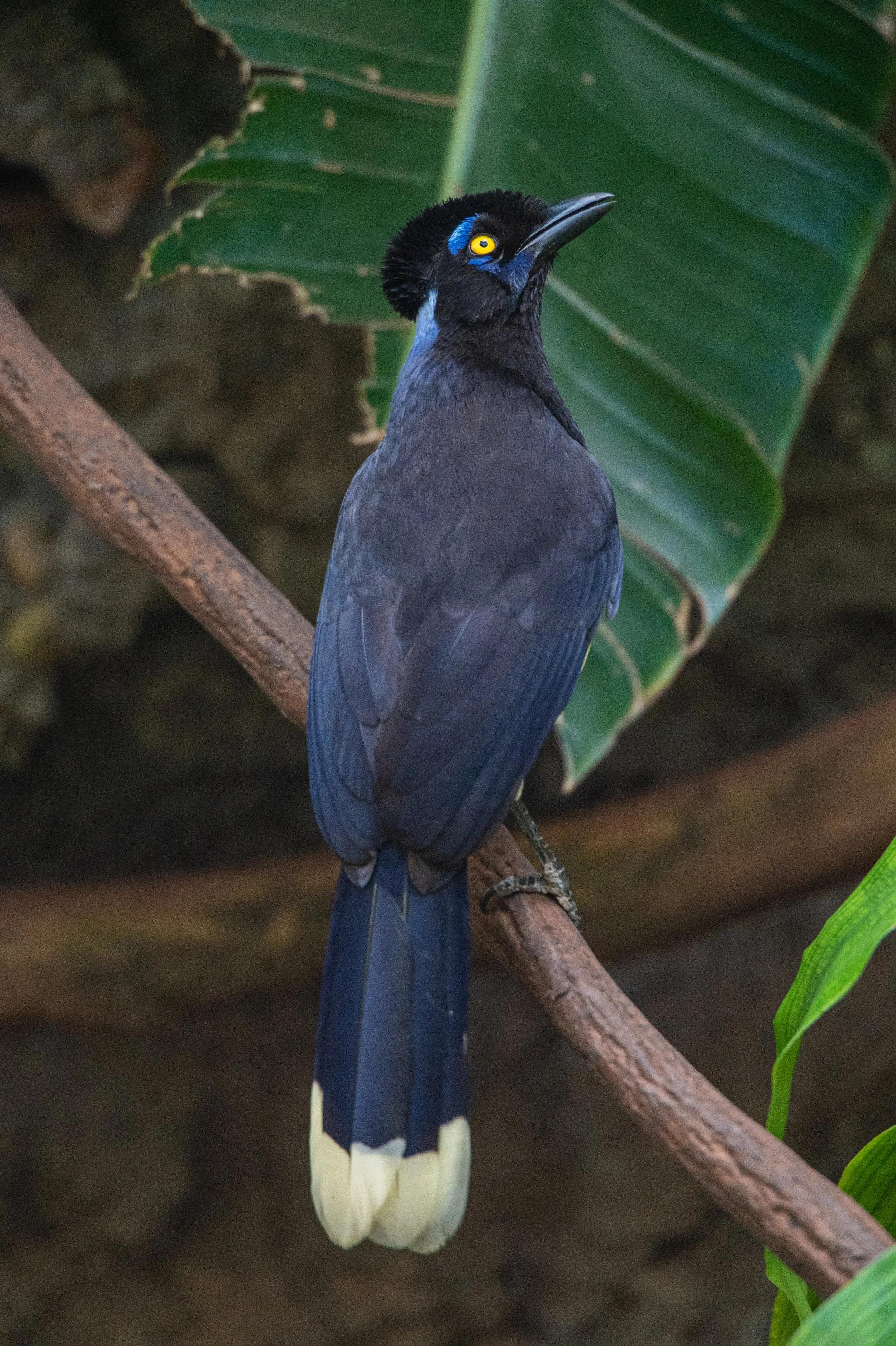 DSC_4077.jpg