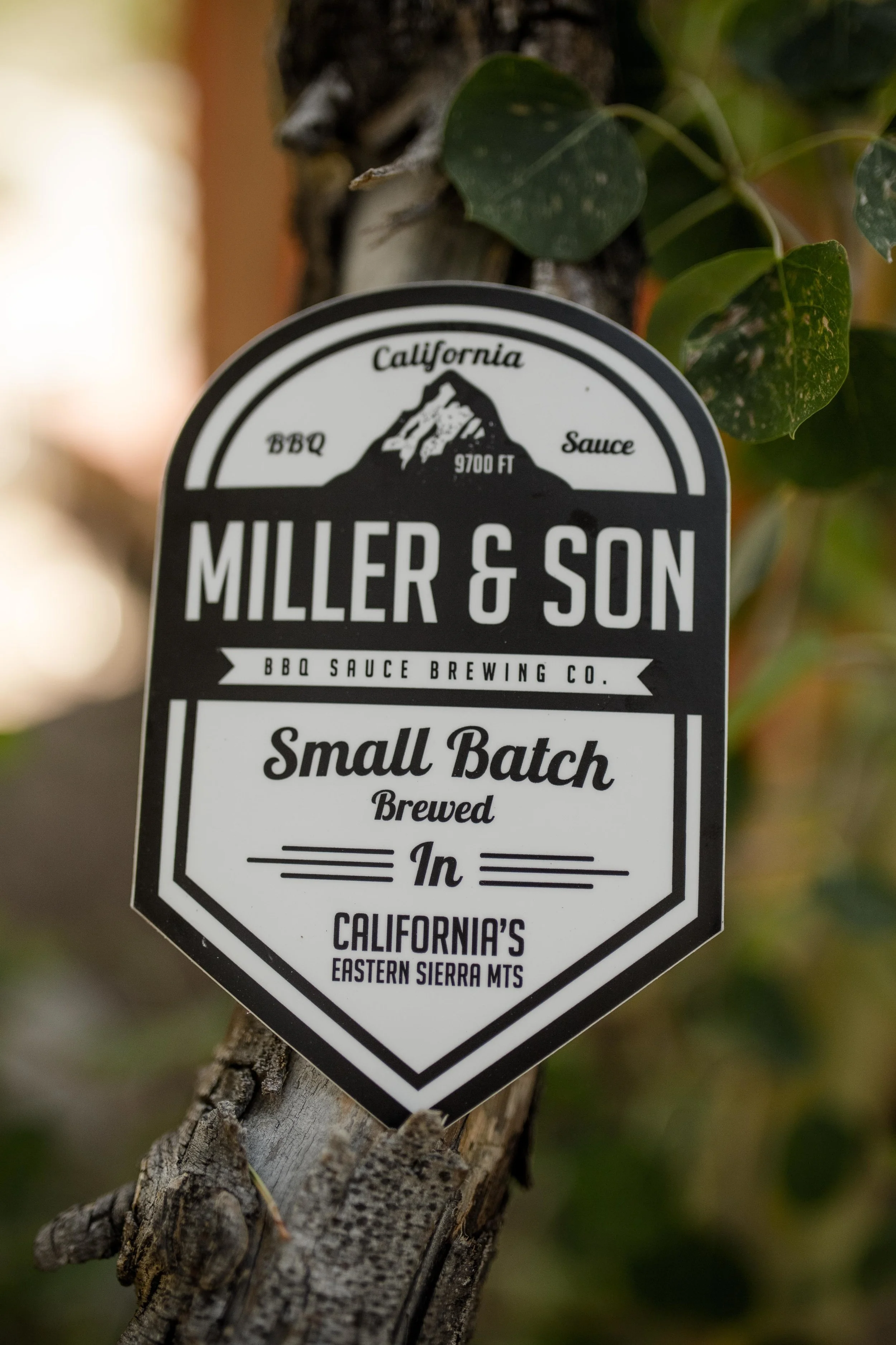 Miller&Son Aug 2015-10.jpg