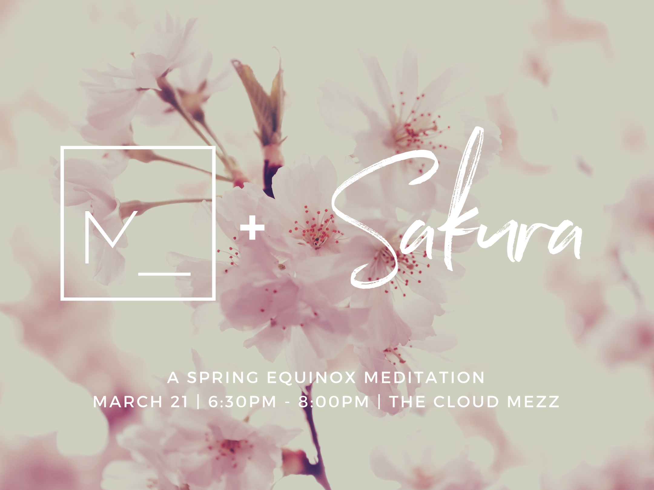 M + SAKURA