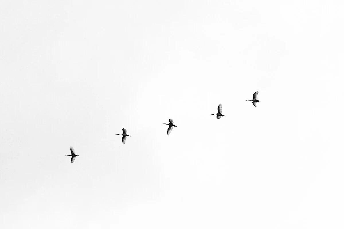 Why We Need To Increase Psychological Capital in the Workplace, and How