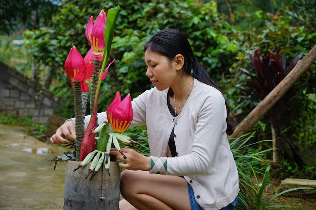 Cinnamon-Eco-Lodge-Flowers-2DSC01587.jpg