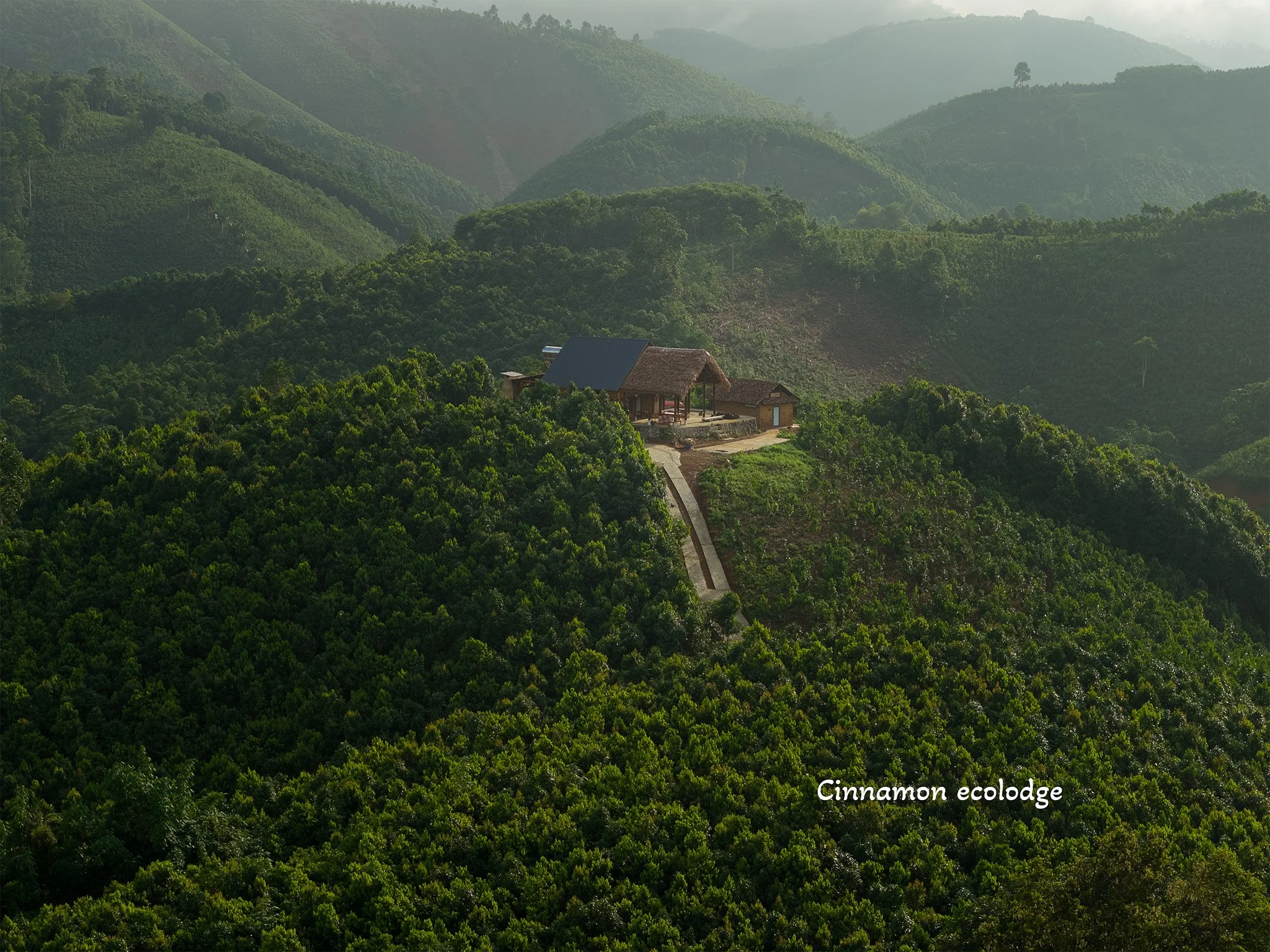 DJI_20250717081120_0004_D-HDR.jpg