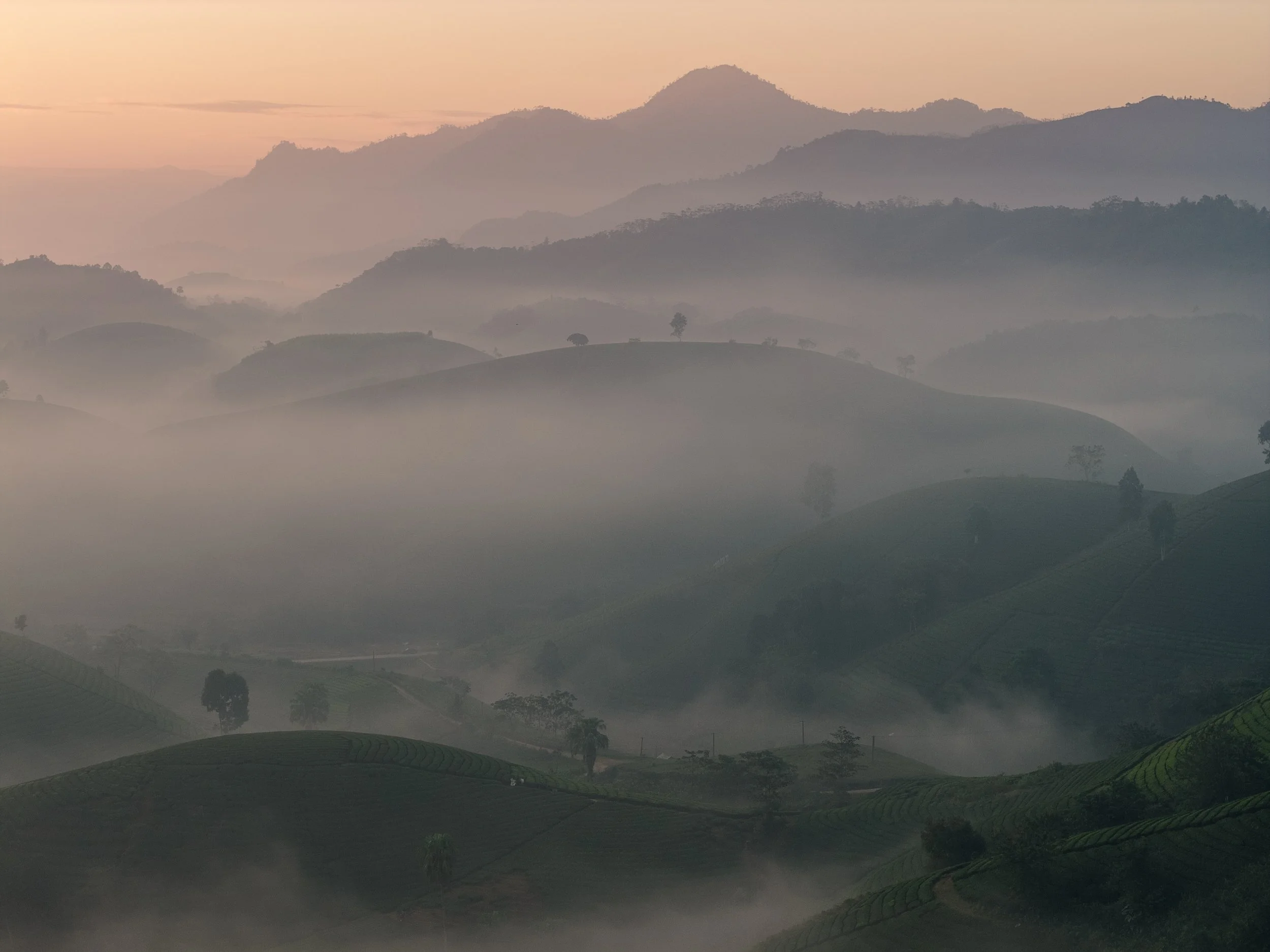 DJI_20251130073313_0577_D-HDR copy.jpg