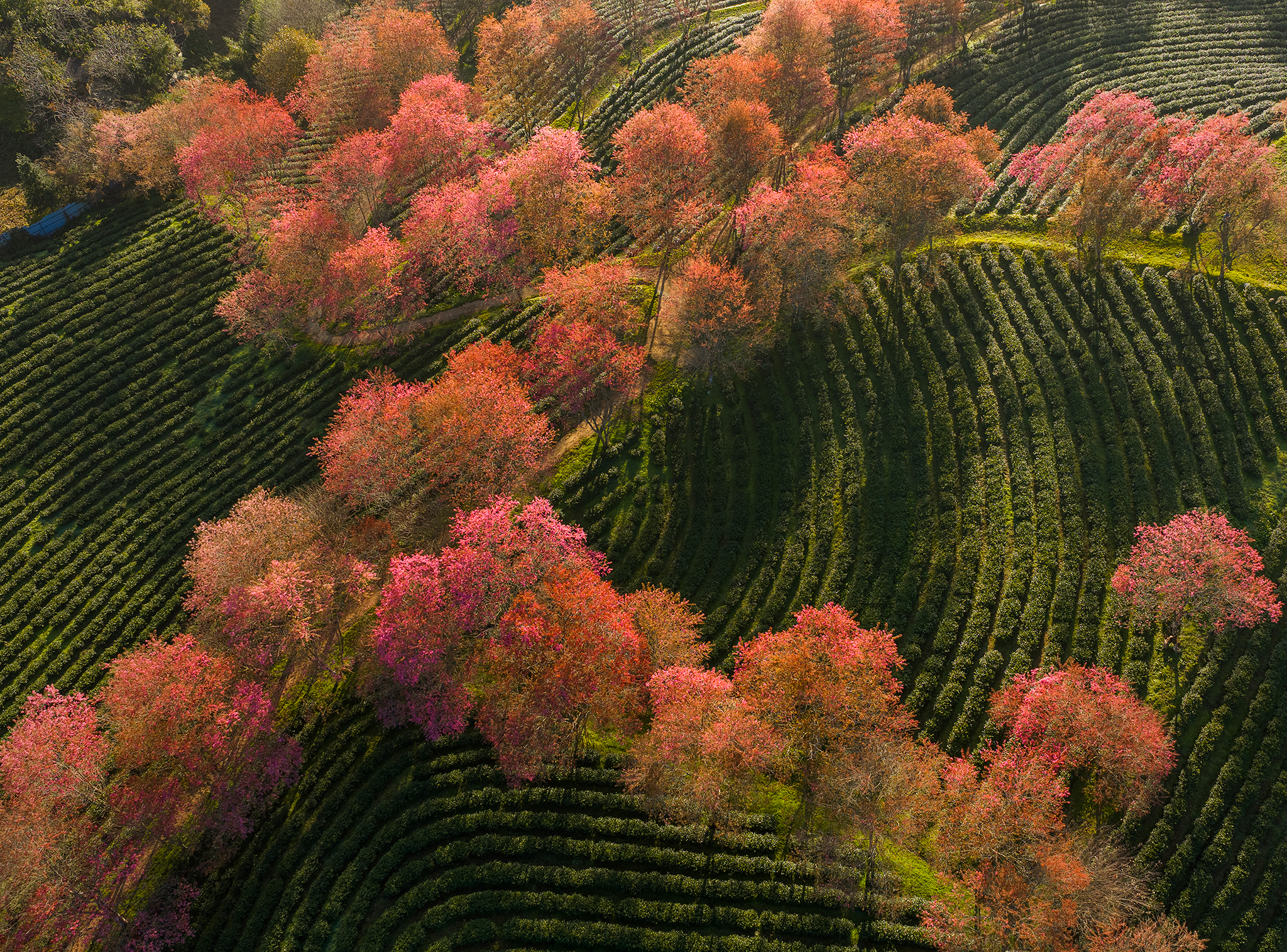 DJI_20251210083727_0322_D-HDR copy.png