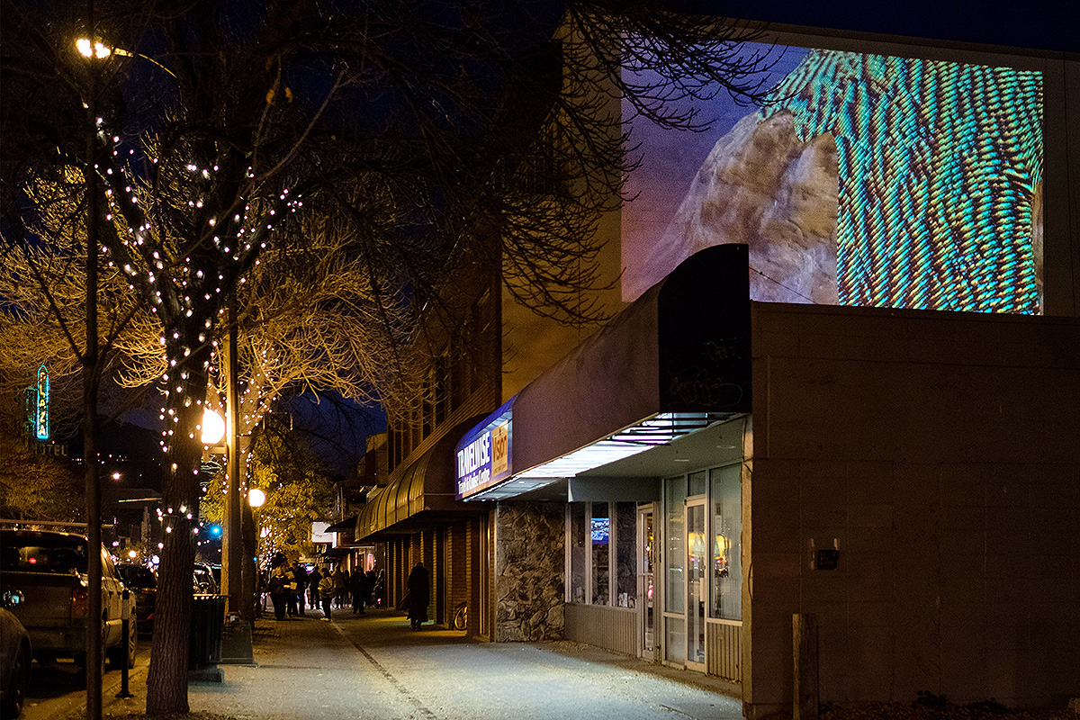 SIGNALS_4_Luminocity_web.jpg