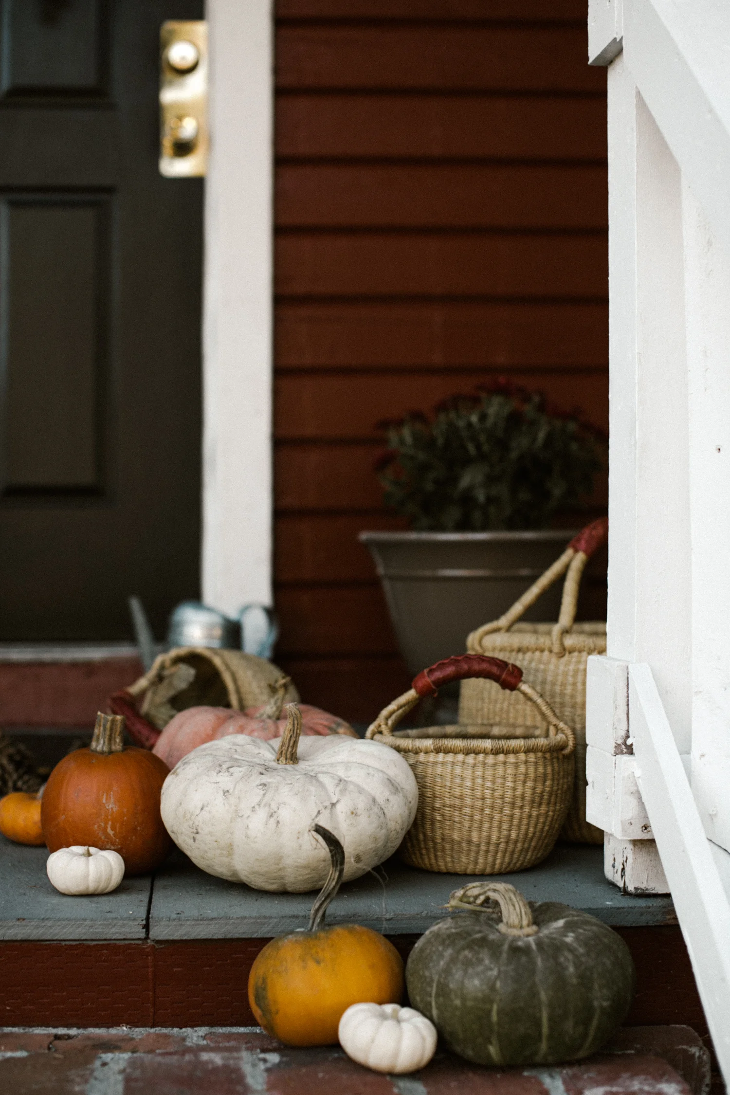 pumpkins-121.jpg