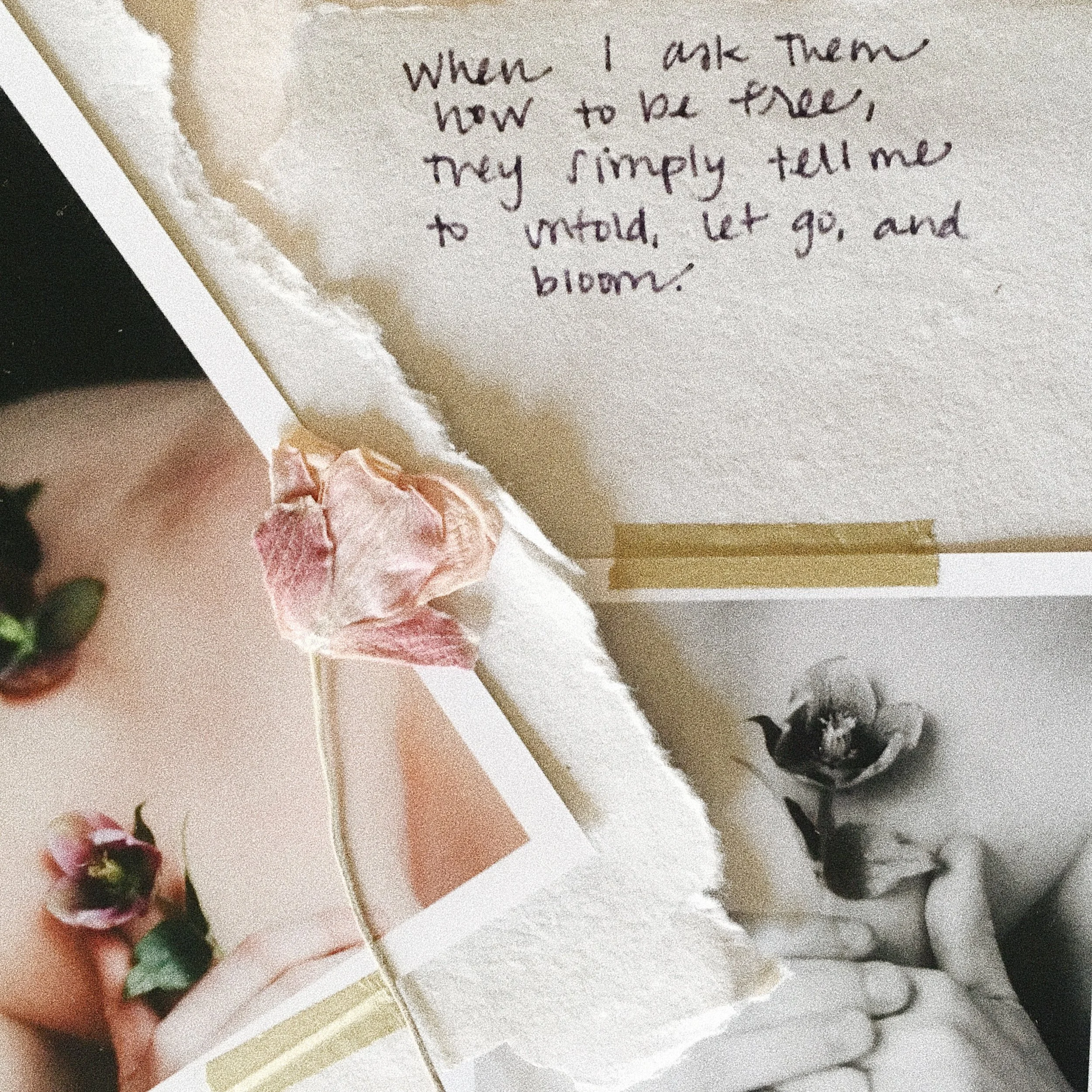 My Wandering Thoughts