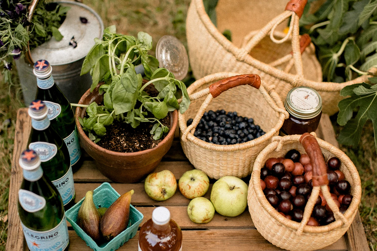 farm to table-145.jpg