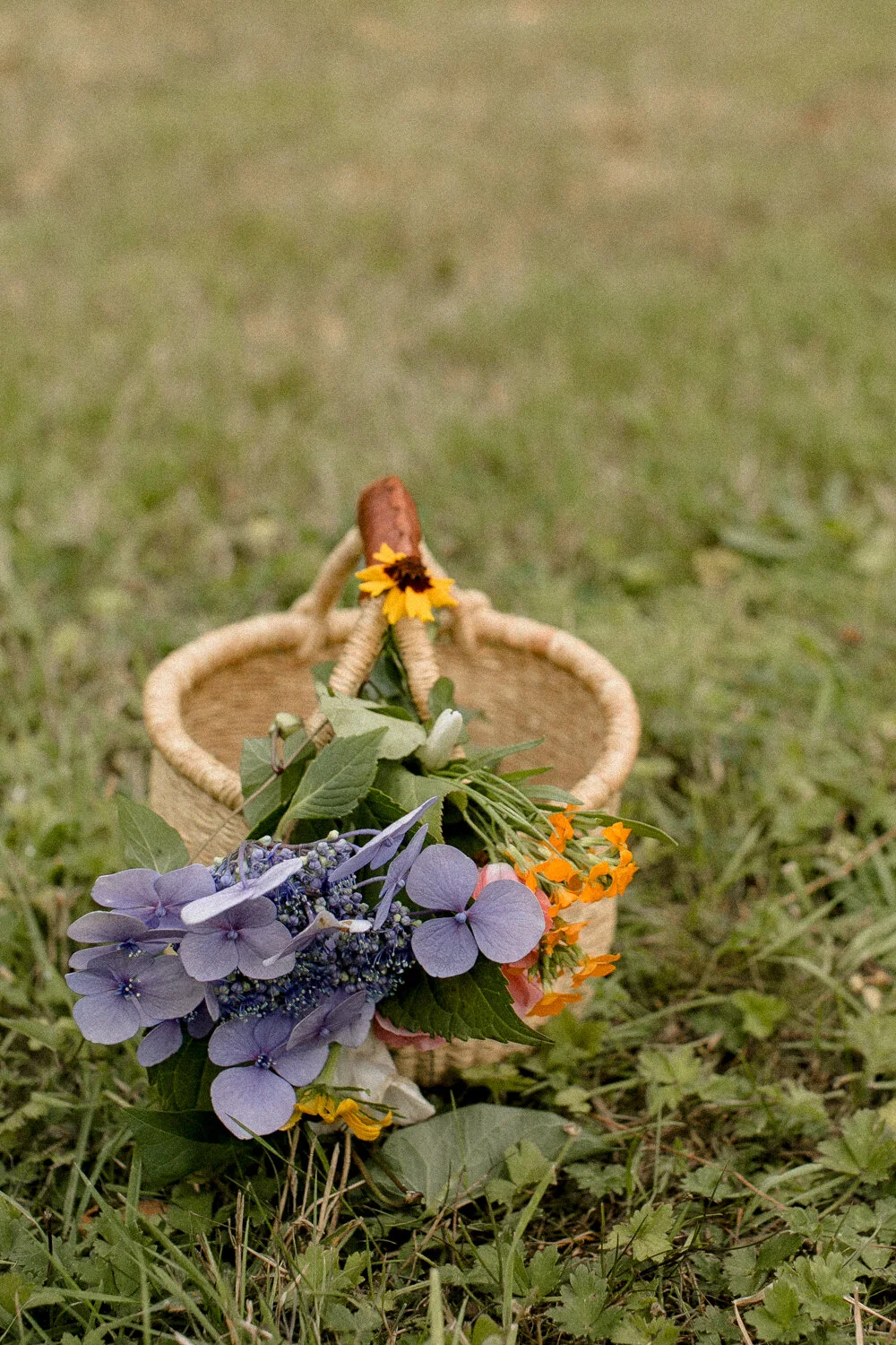 in the garden-154.jpg