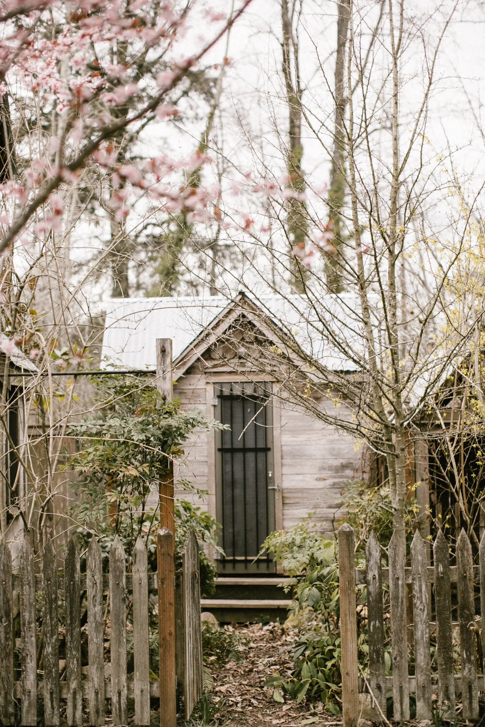 Shelter : A Story of Downsizing