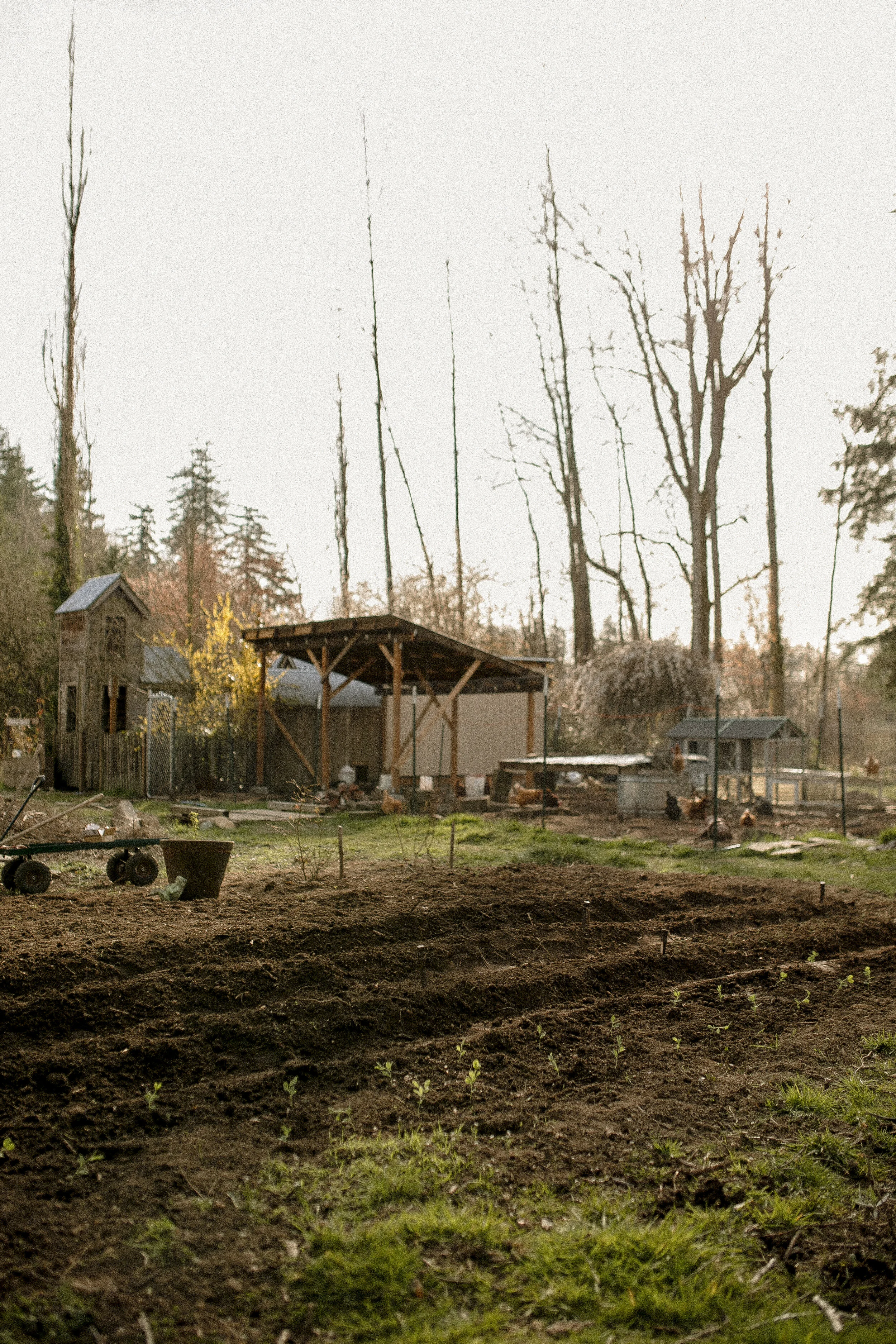 An Ode to Nature : Our First Family Garden