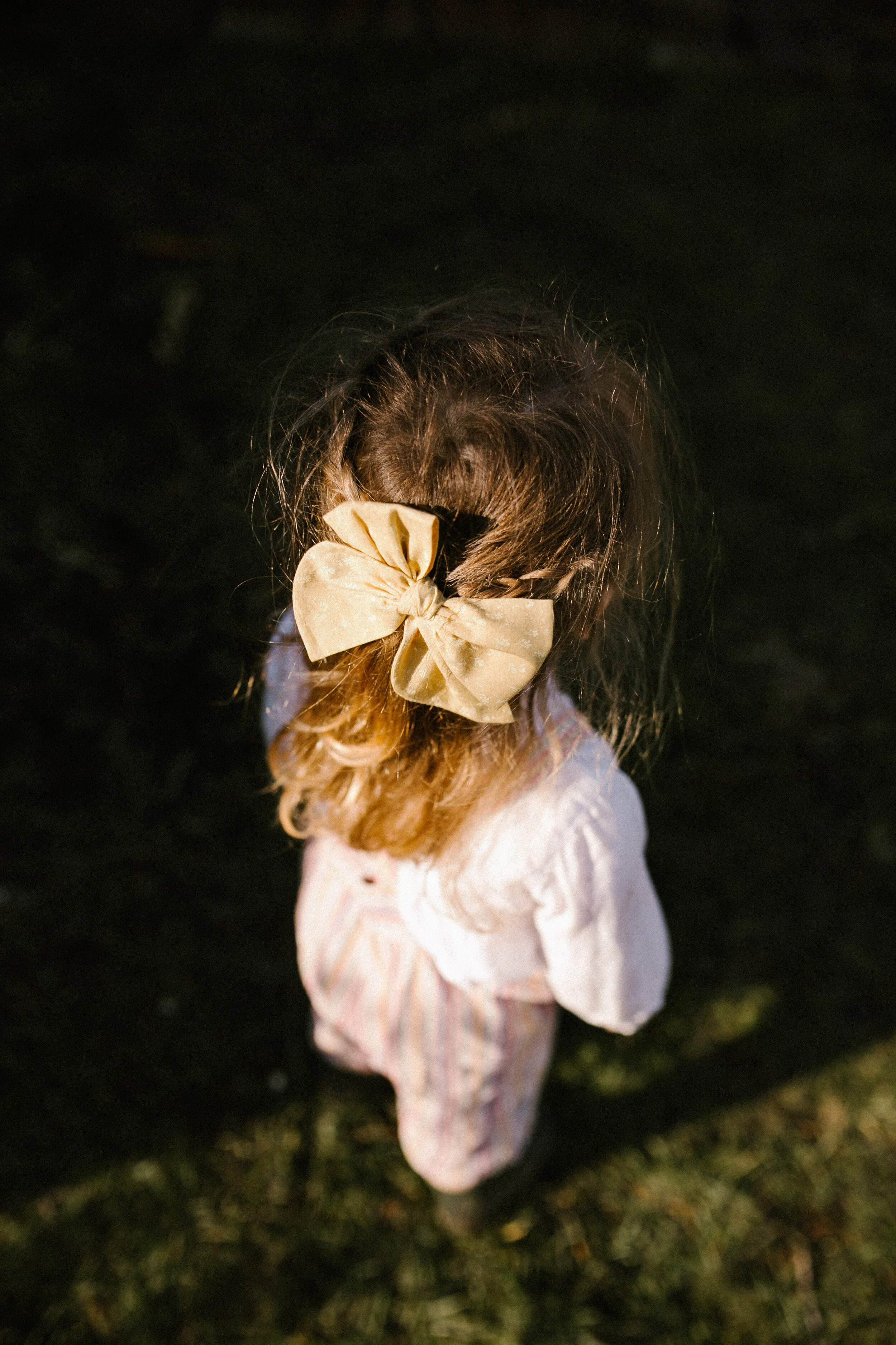 KDBird Spring Bows-175.jpg