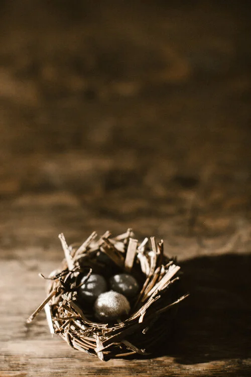 Crafting a Bird Nest 