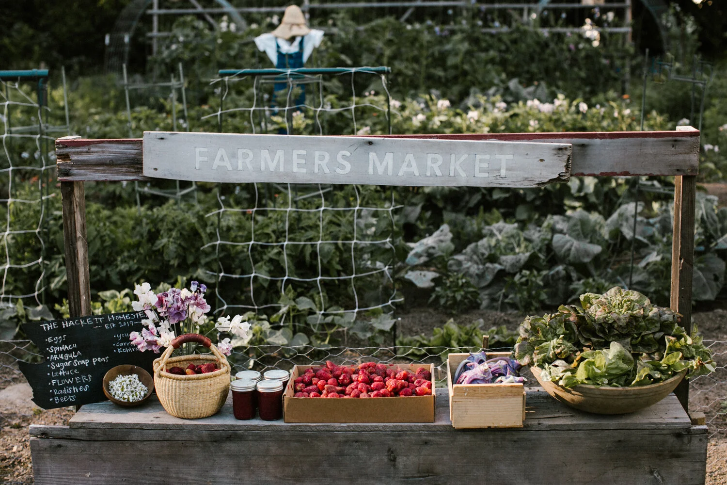 strawberries-109.jpg