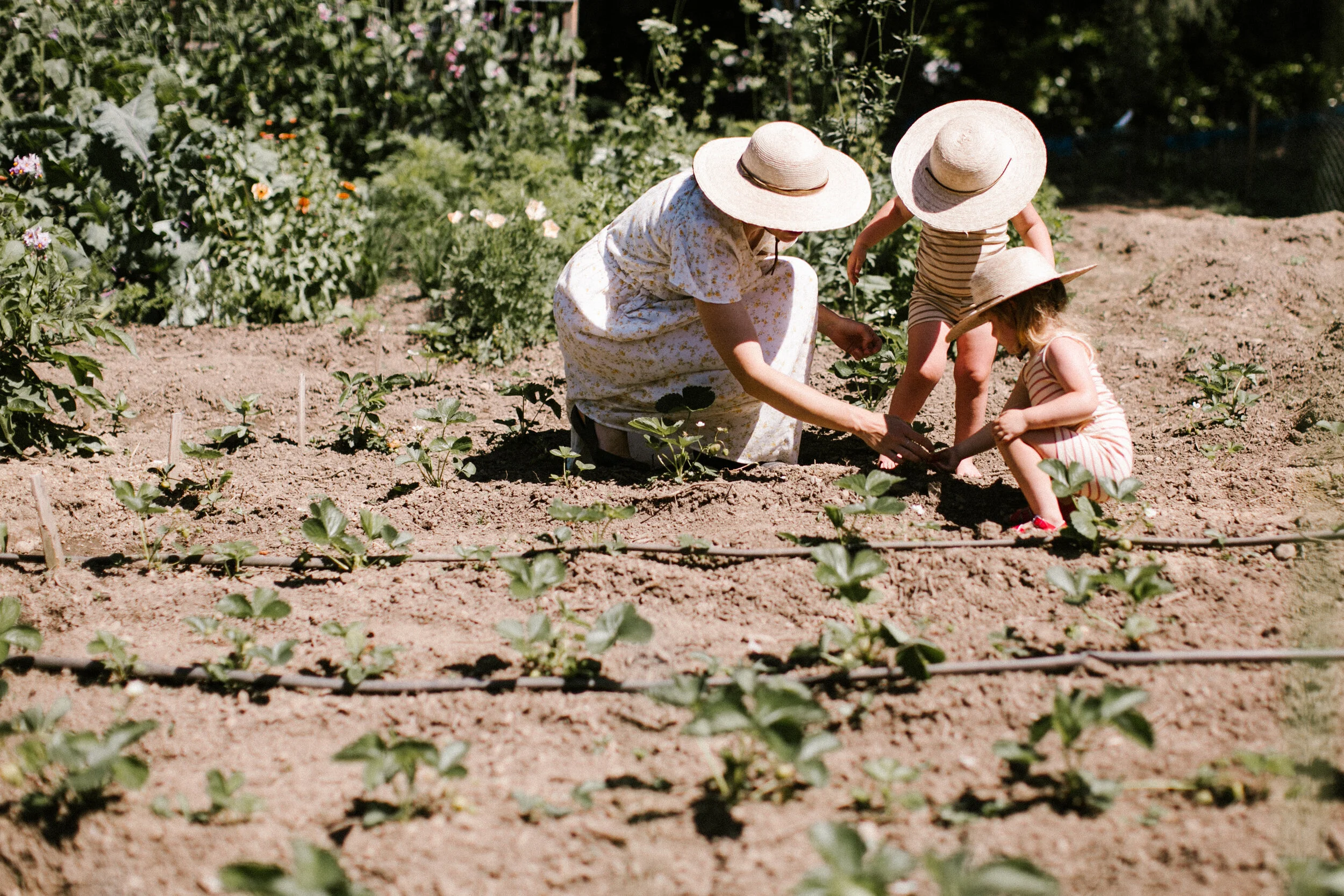 sun hats-101.jpg