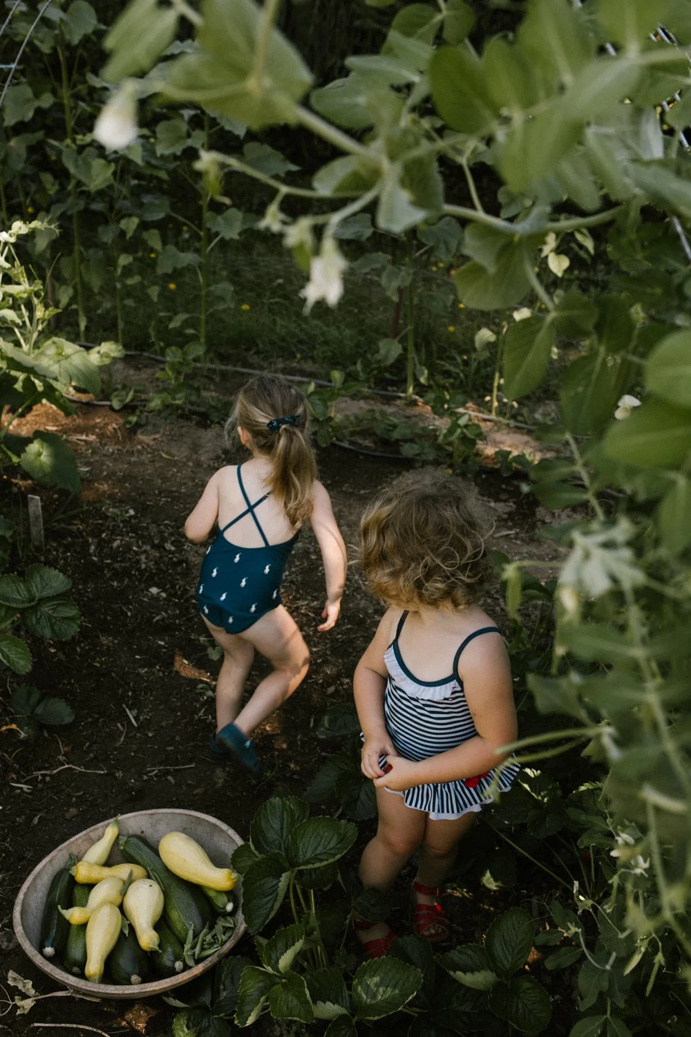 july harvest-101.jpg