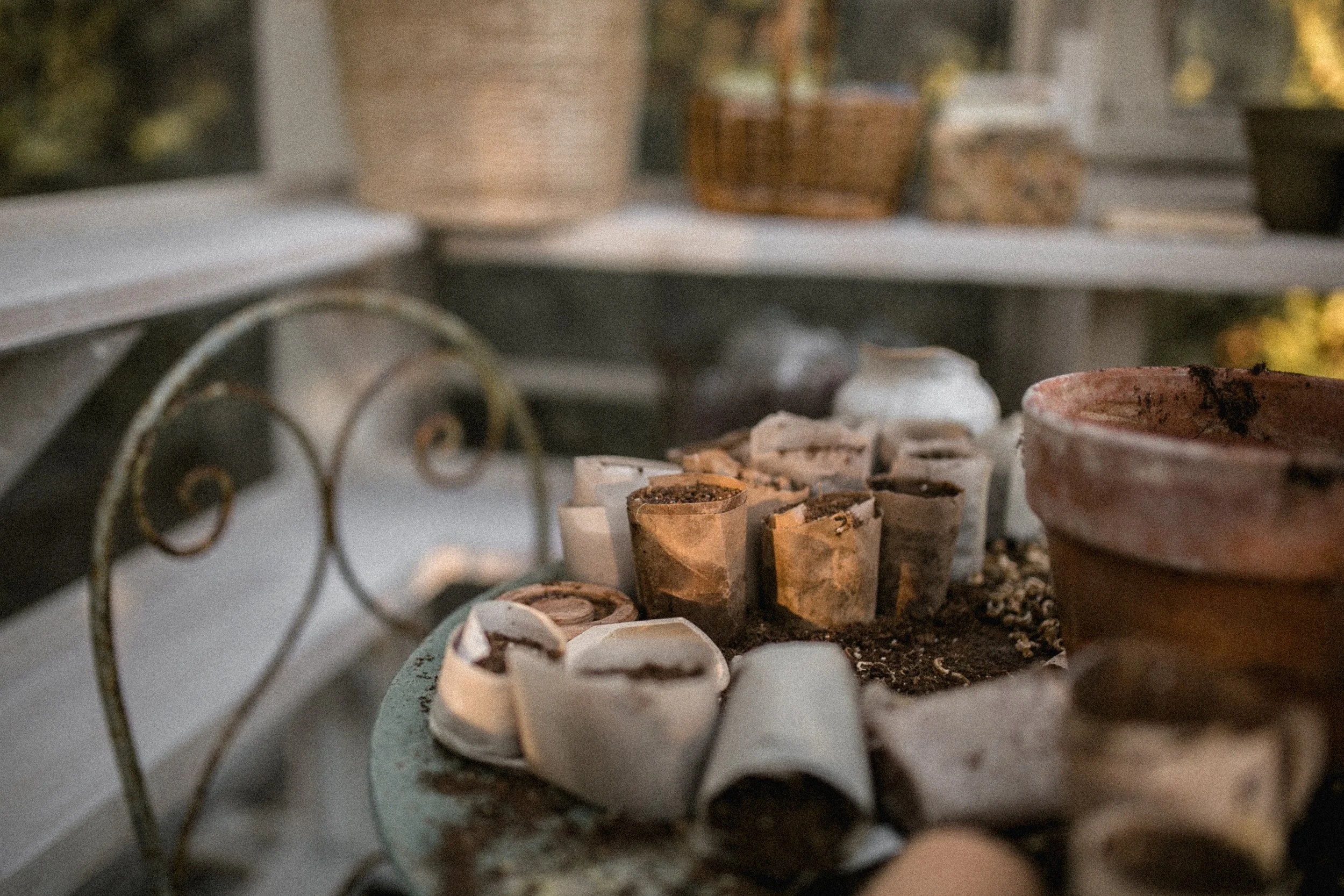 Seed to Seed: The Seed Keepers Manifesto