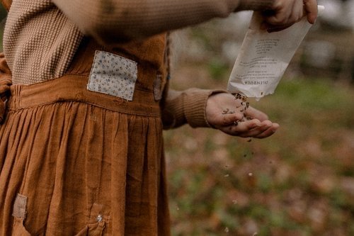 Seed to Seed: A Time to Sow