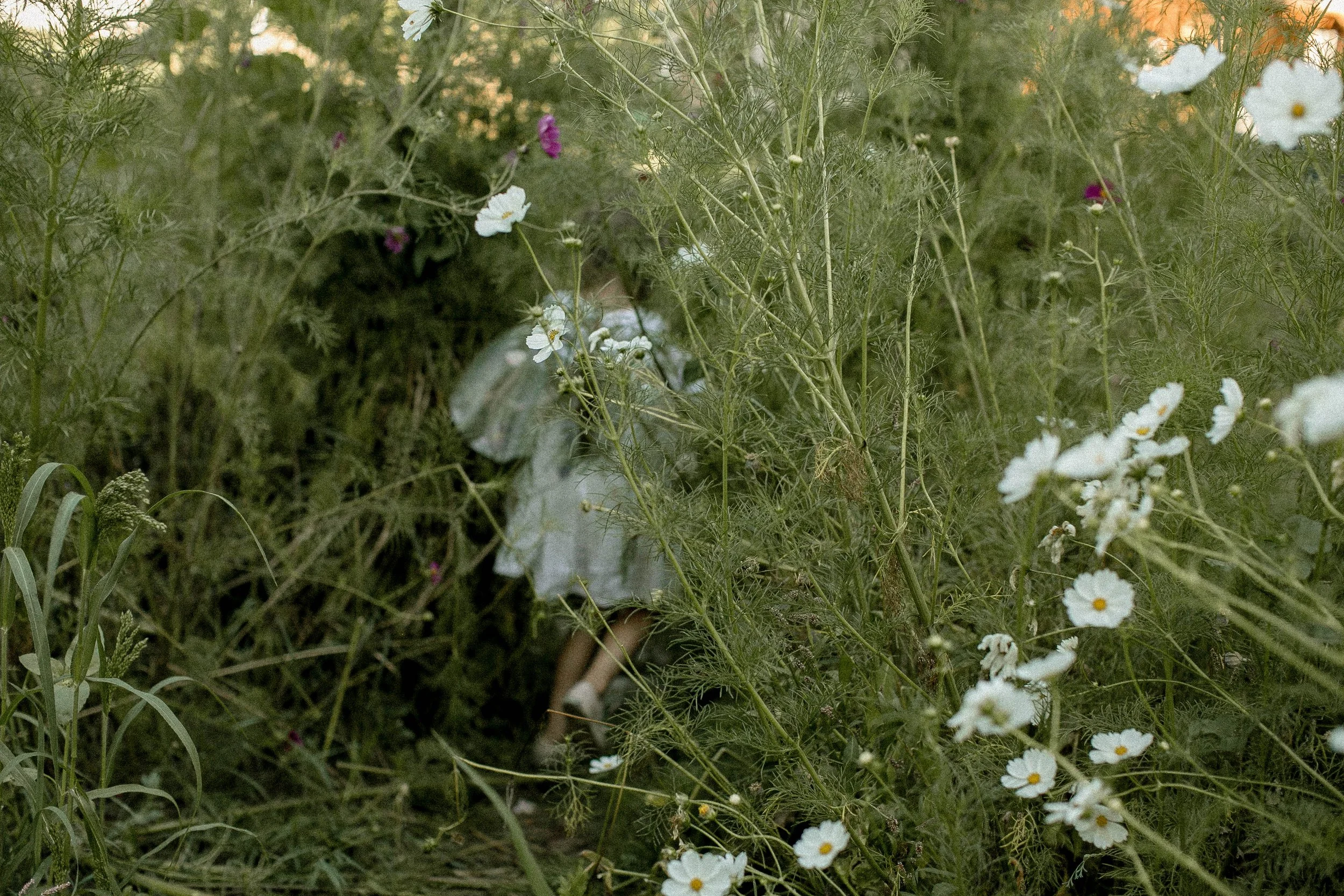 august-136.jpg