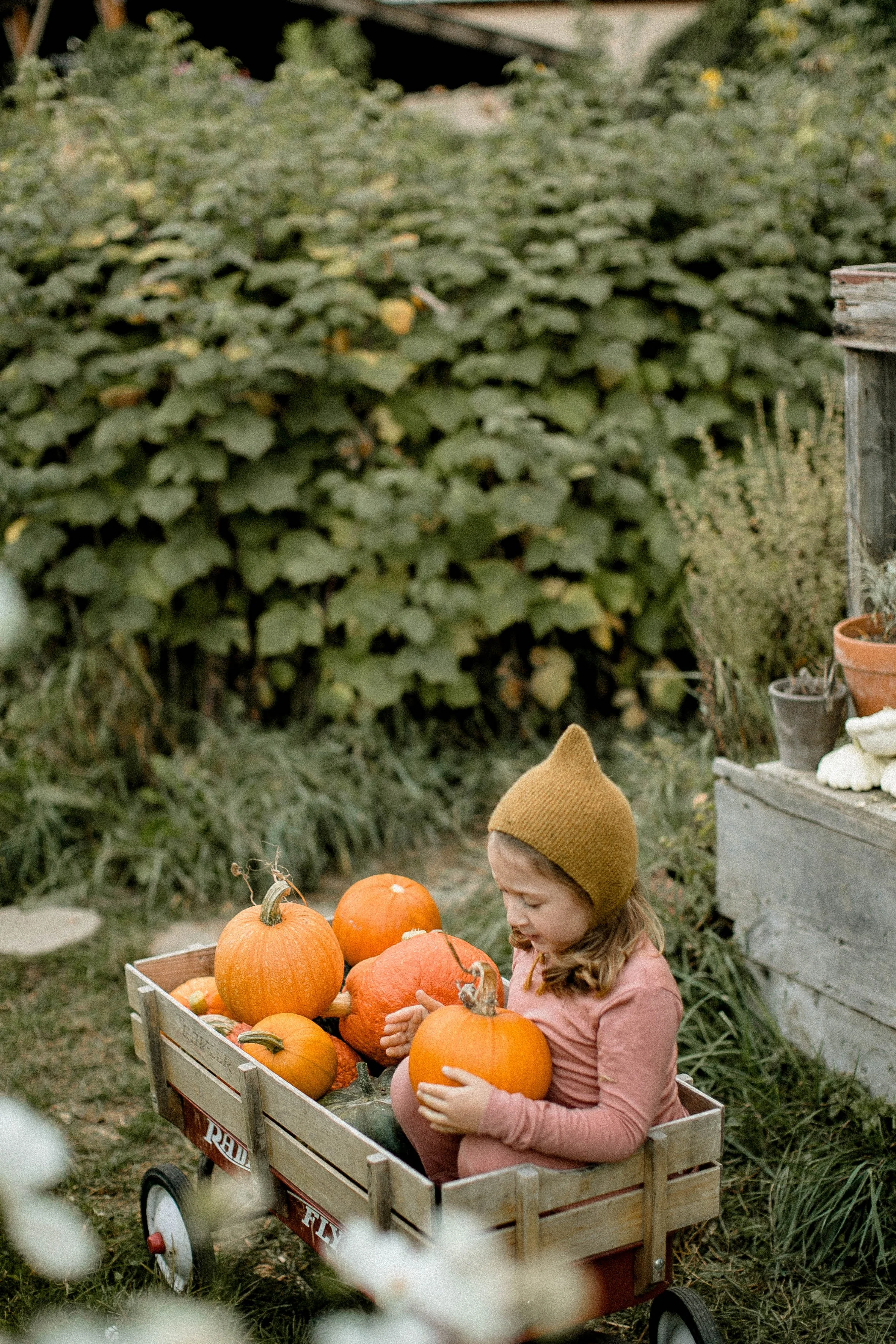 september-102.jpg