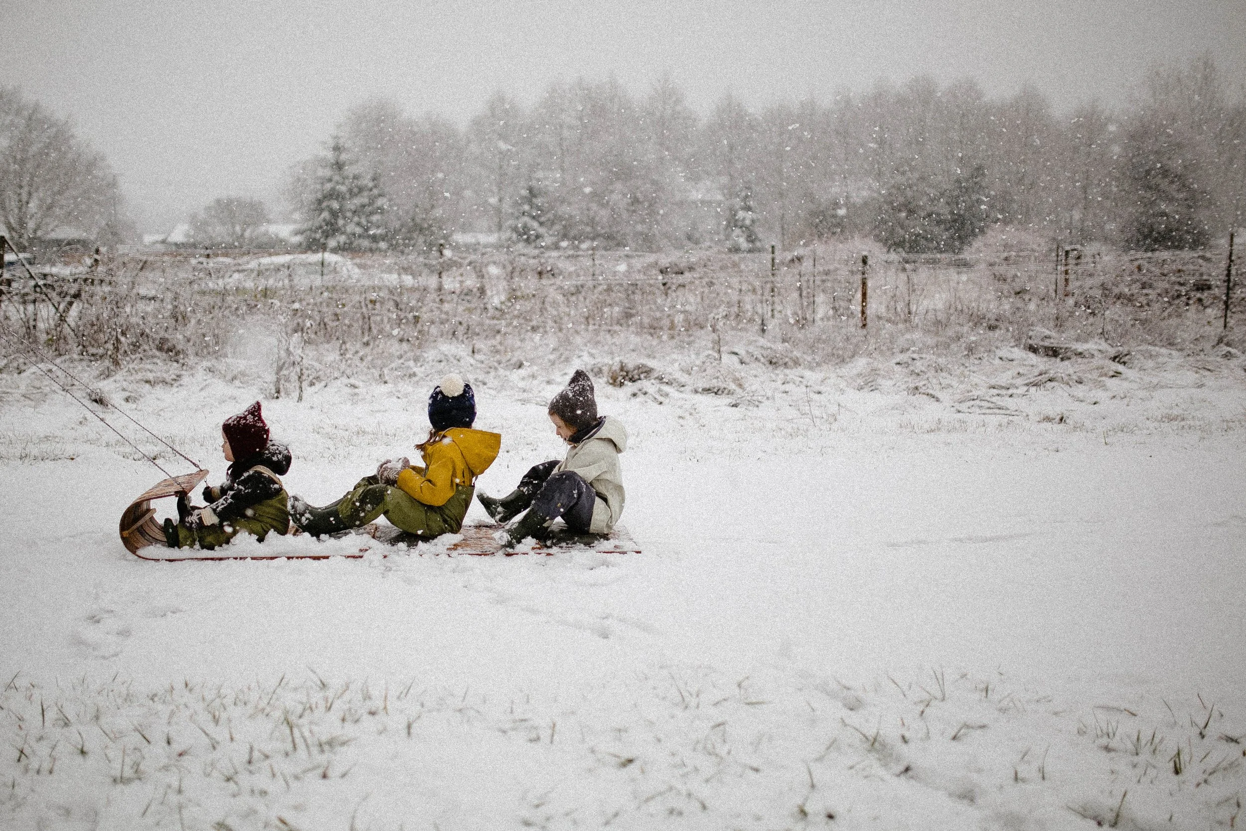 December snow-108.jpg