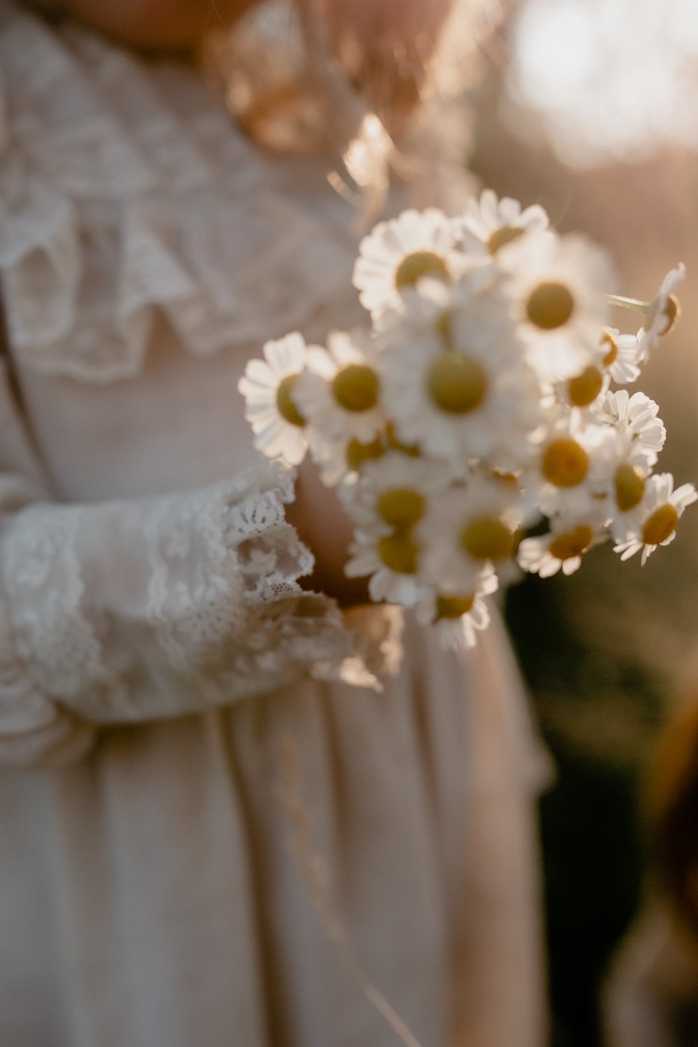 chickies and feverfew-102-3.jpg