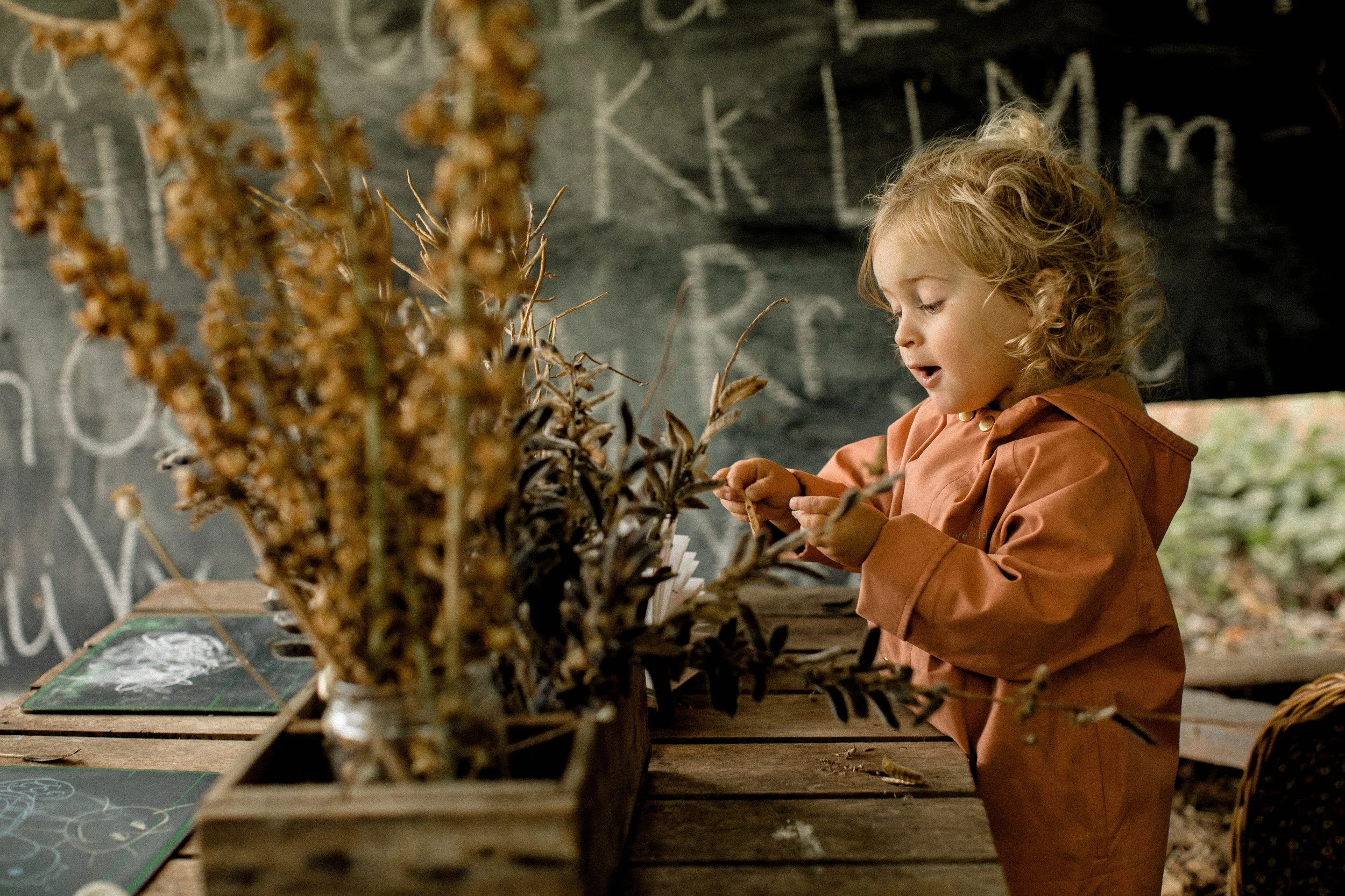 Back to School with Fairechild-122.jpg