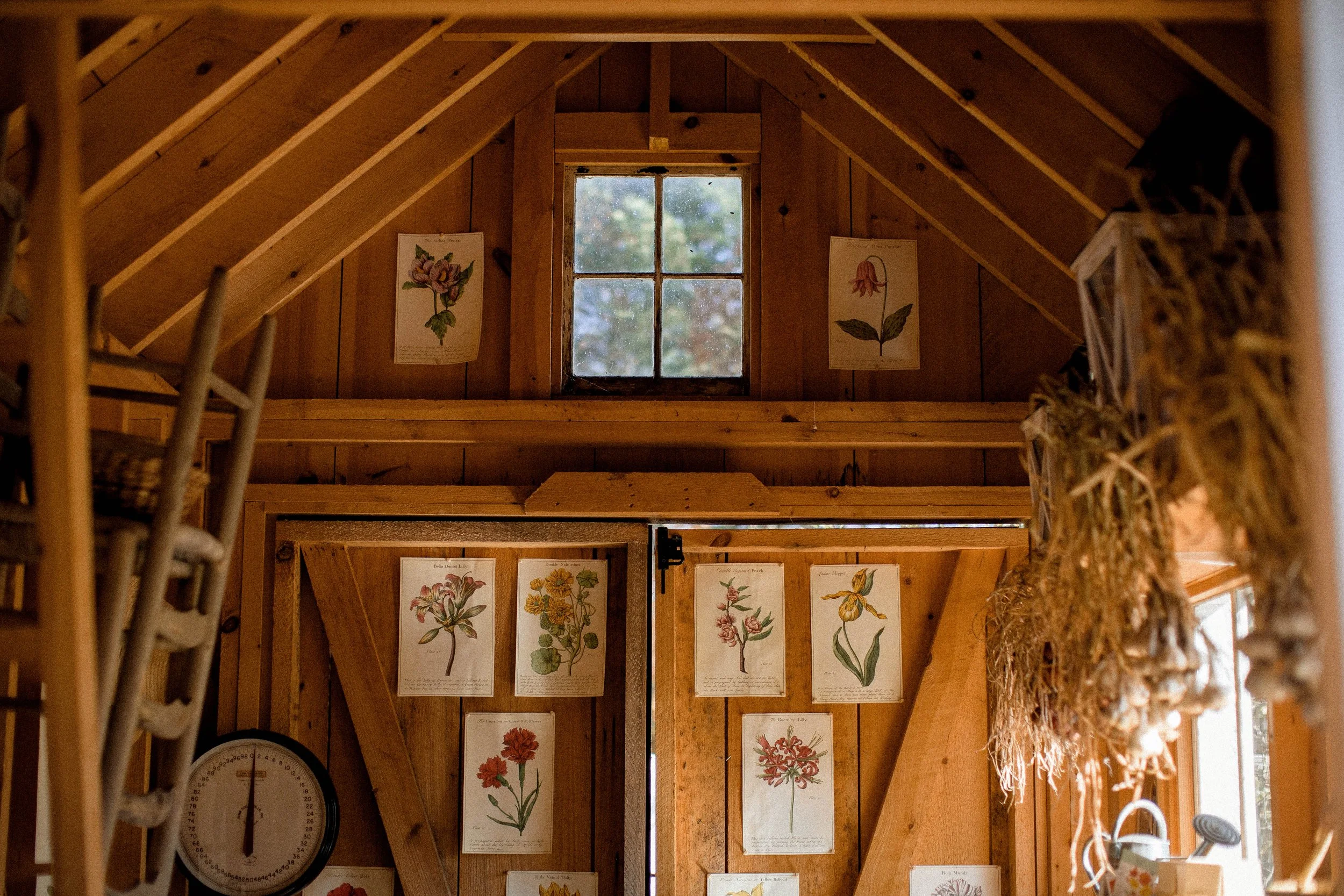 Pantry Hill Apple Pie -104.jpg