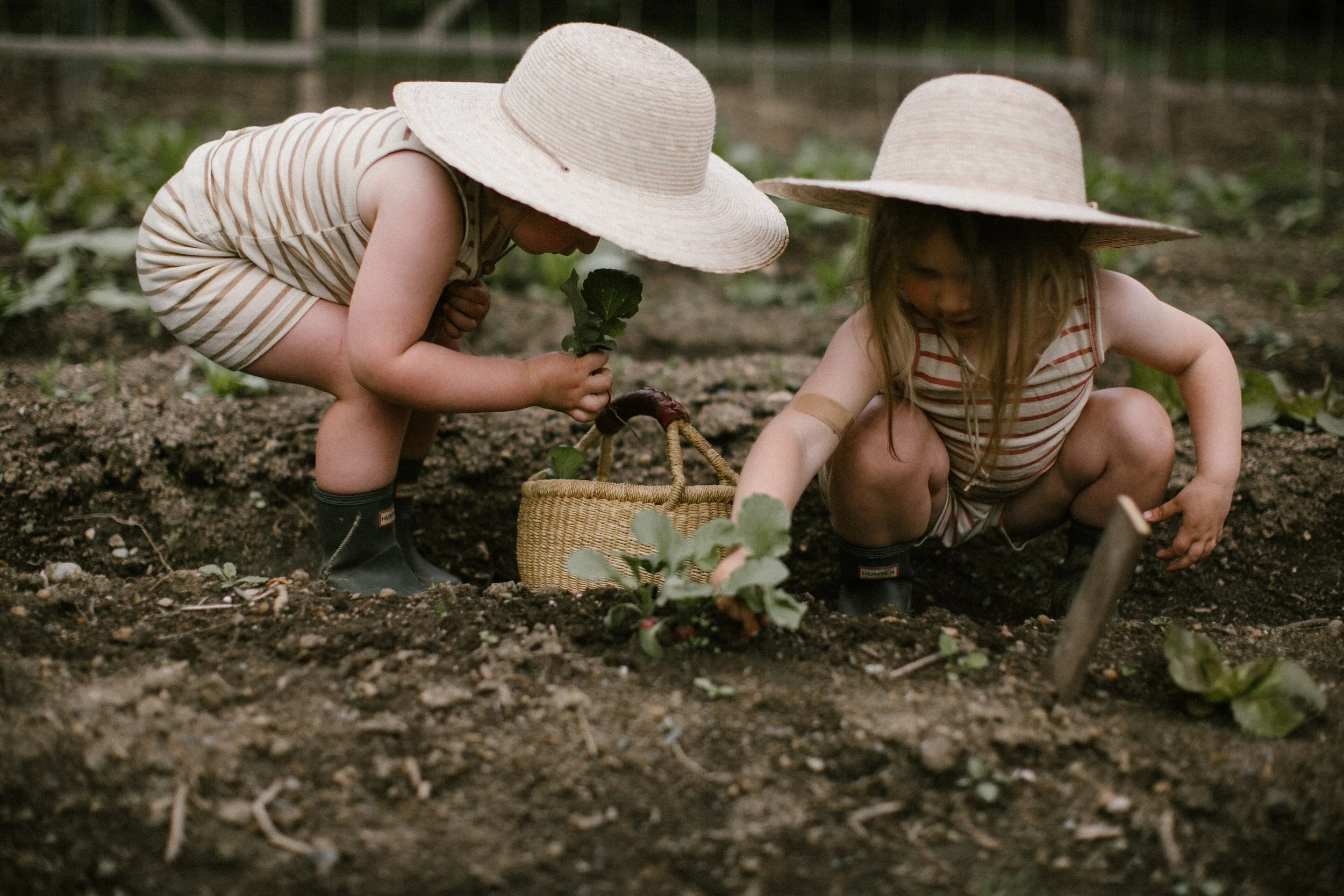 Short Johns- Stripe-128.jpg